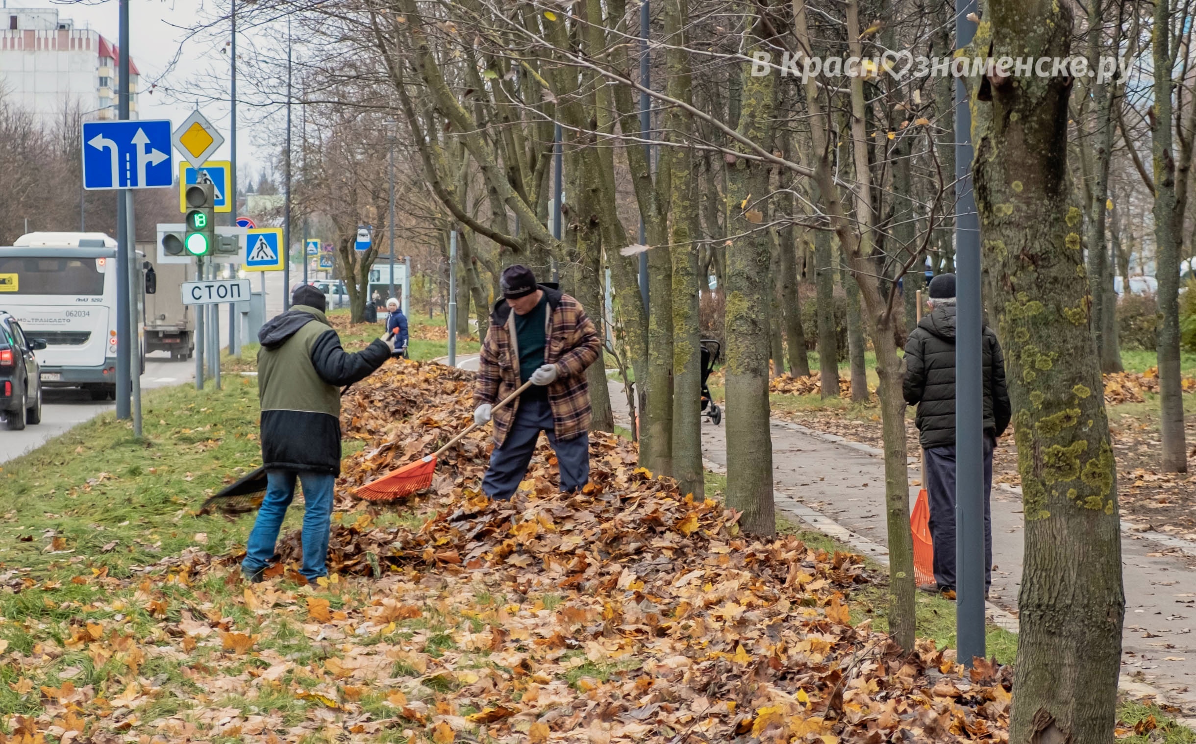 Фото 41650 — Краснознаменск