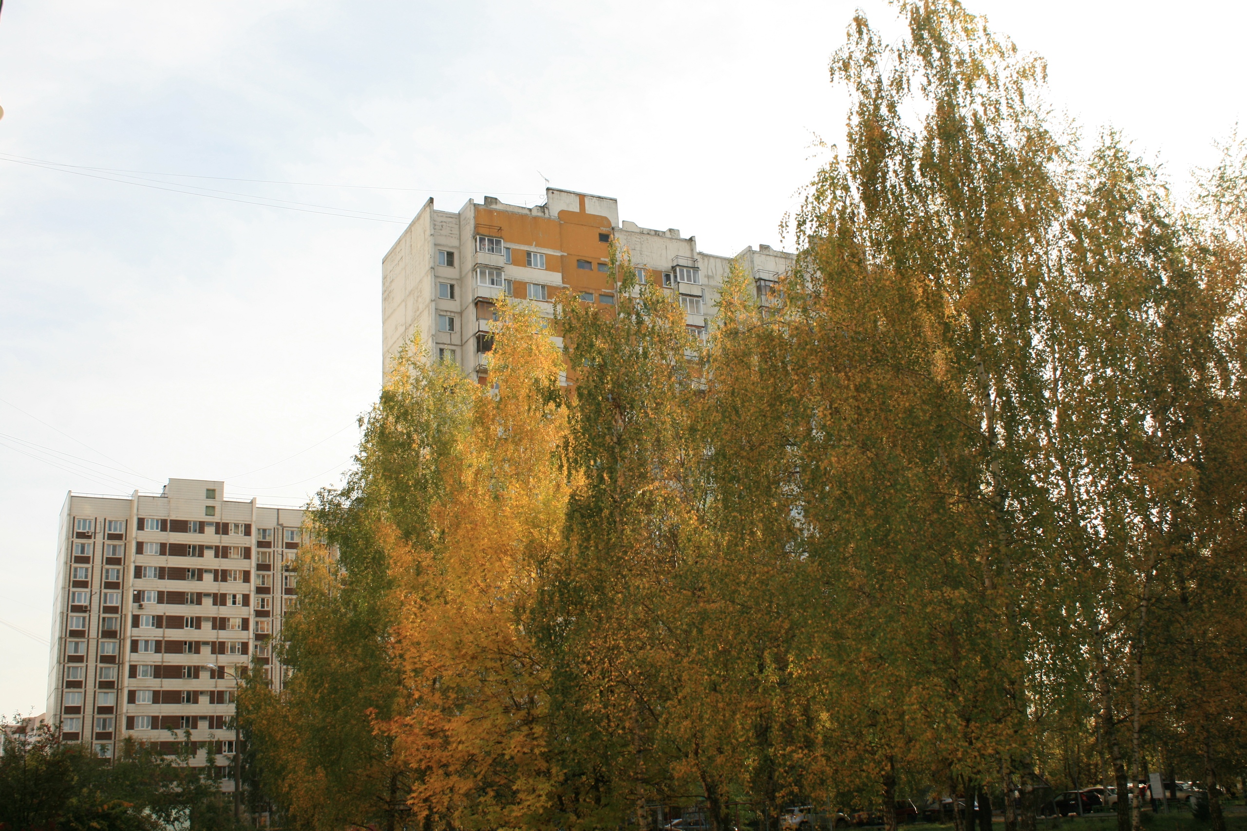 Осенний Краснознаменск. ???? Наталья Меняйлова