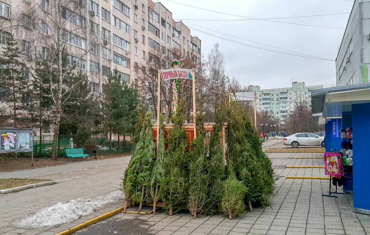 Фото 41216 — Краснознаменск