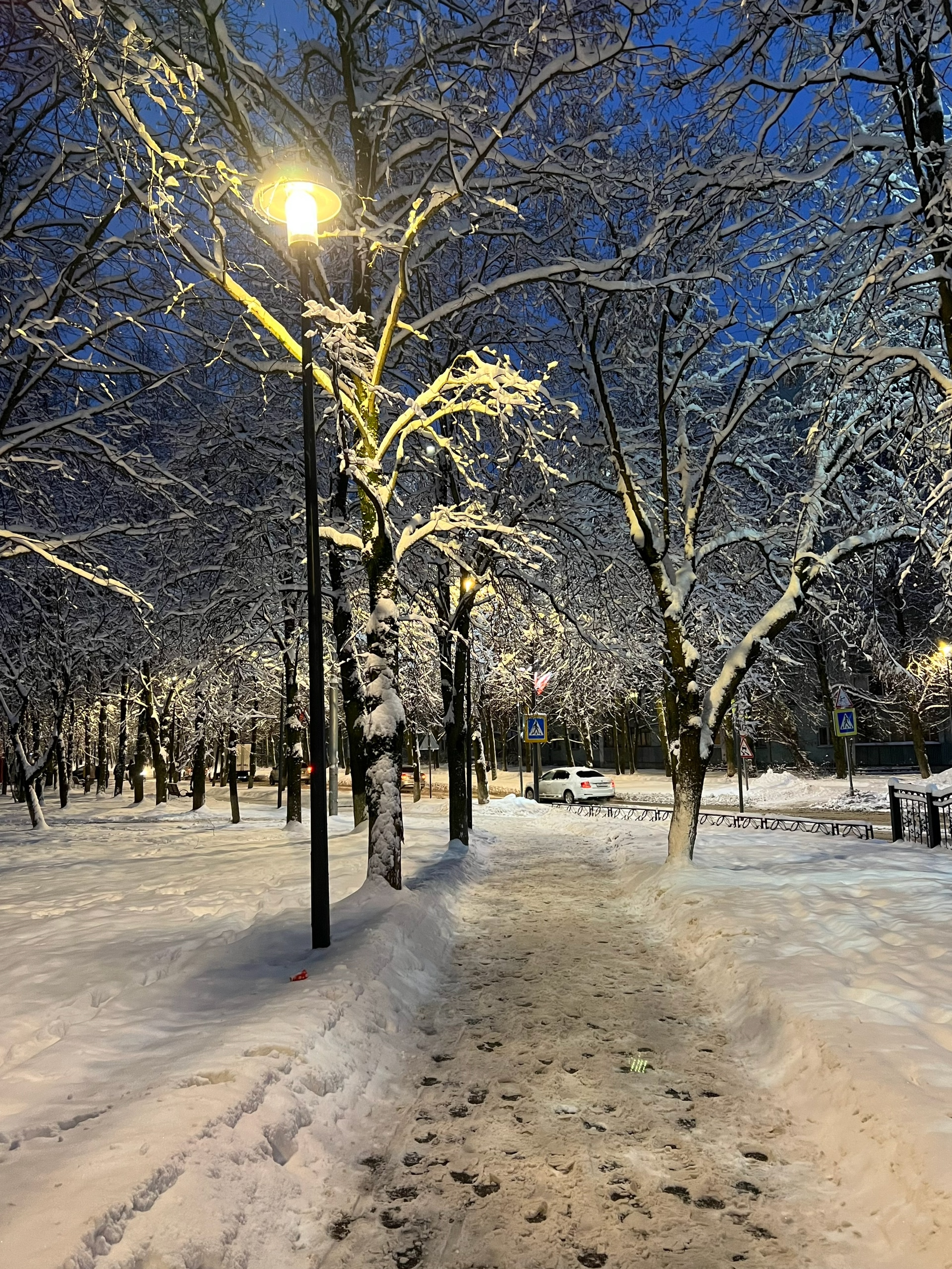 ???? Лиса Лихачева — Краснознаменск