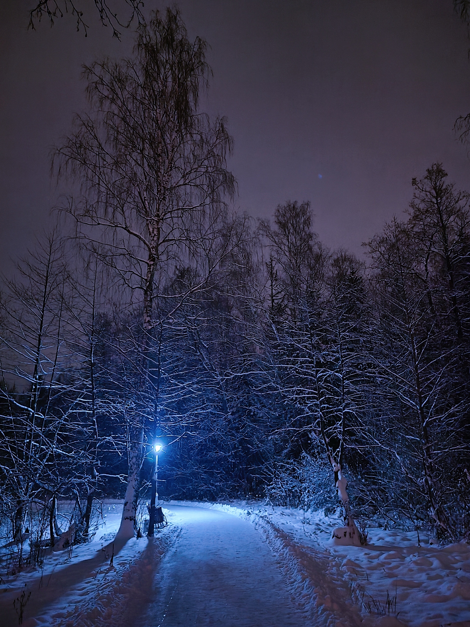 Вечерняя прогулка