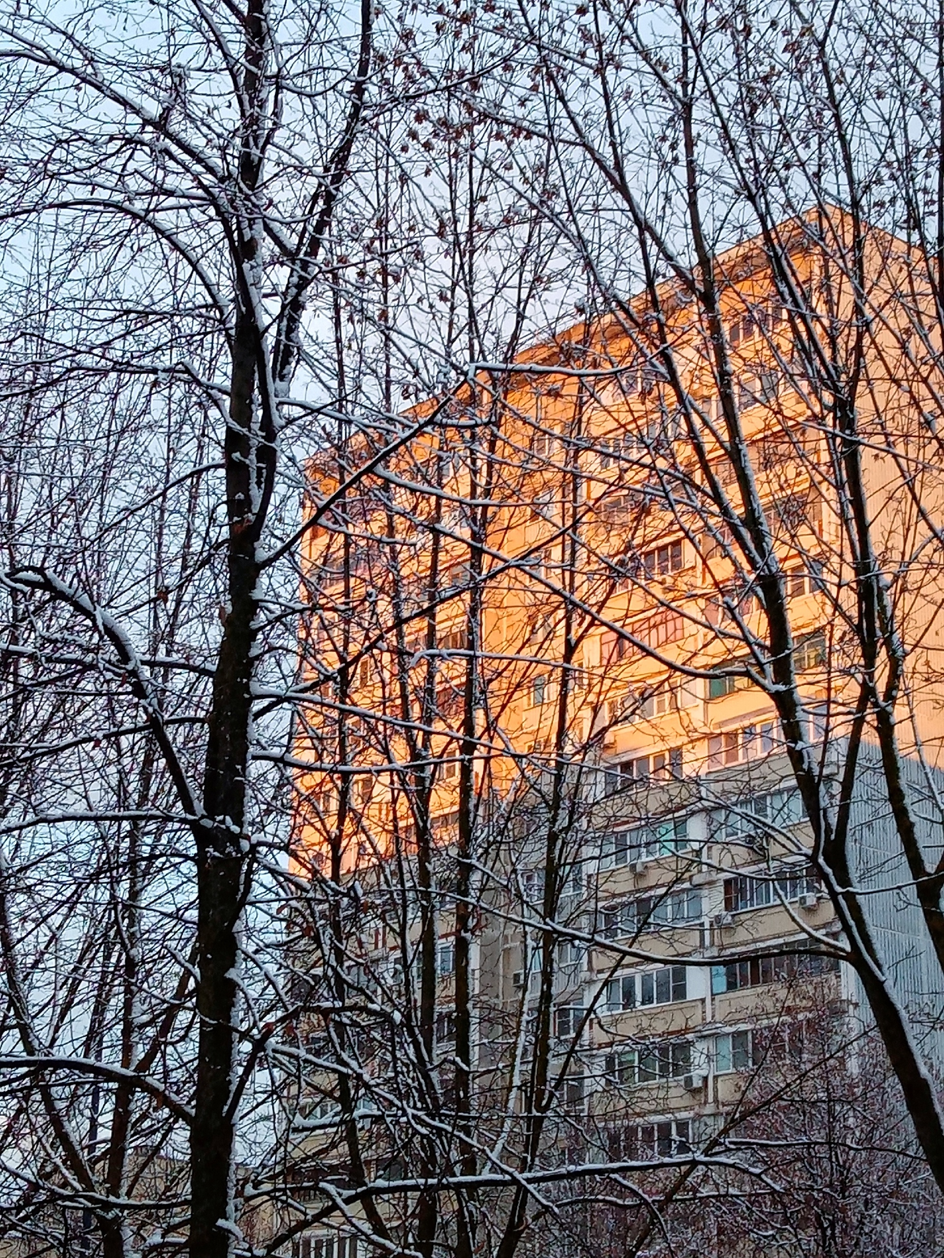 Прогулка по городу. — Краснознаменск