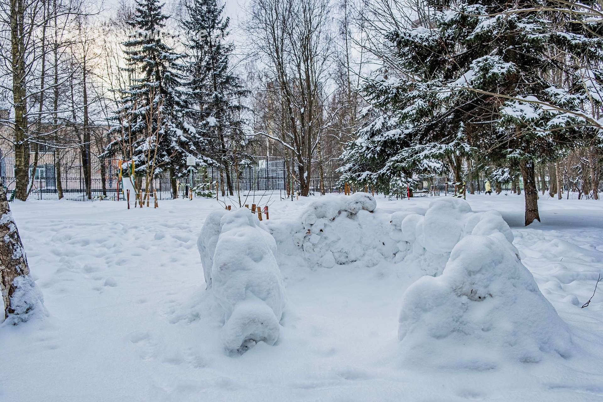 Фото 41658 — Краснознаменск