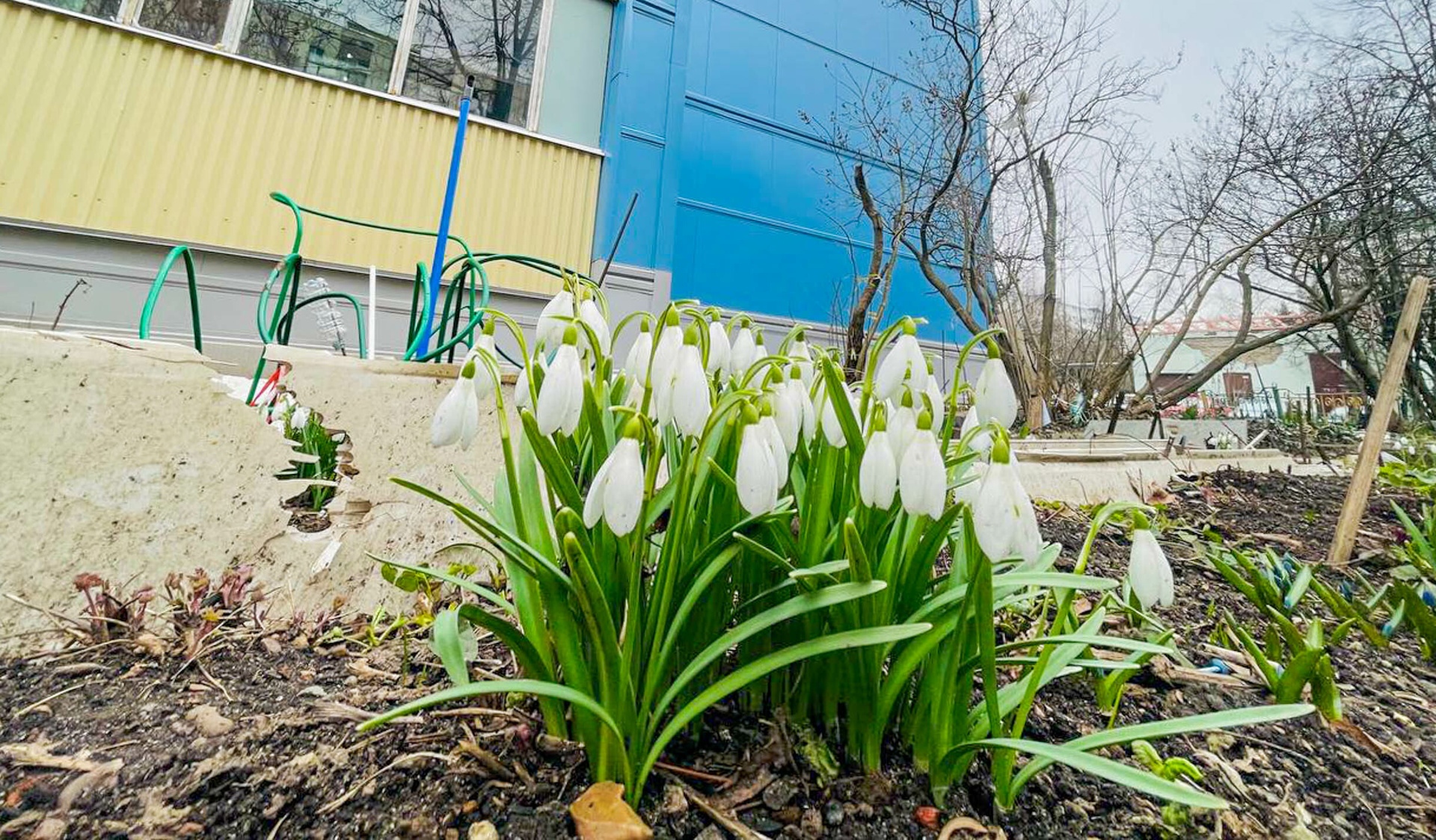 Прогулка по городу — Краснознаменск