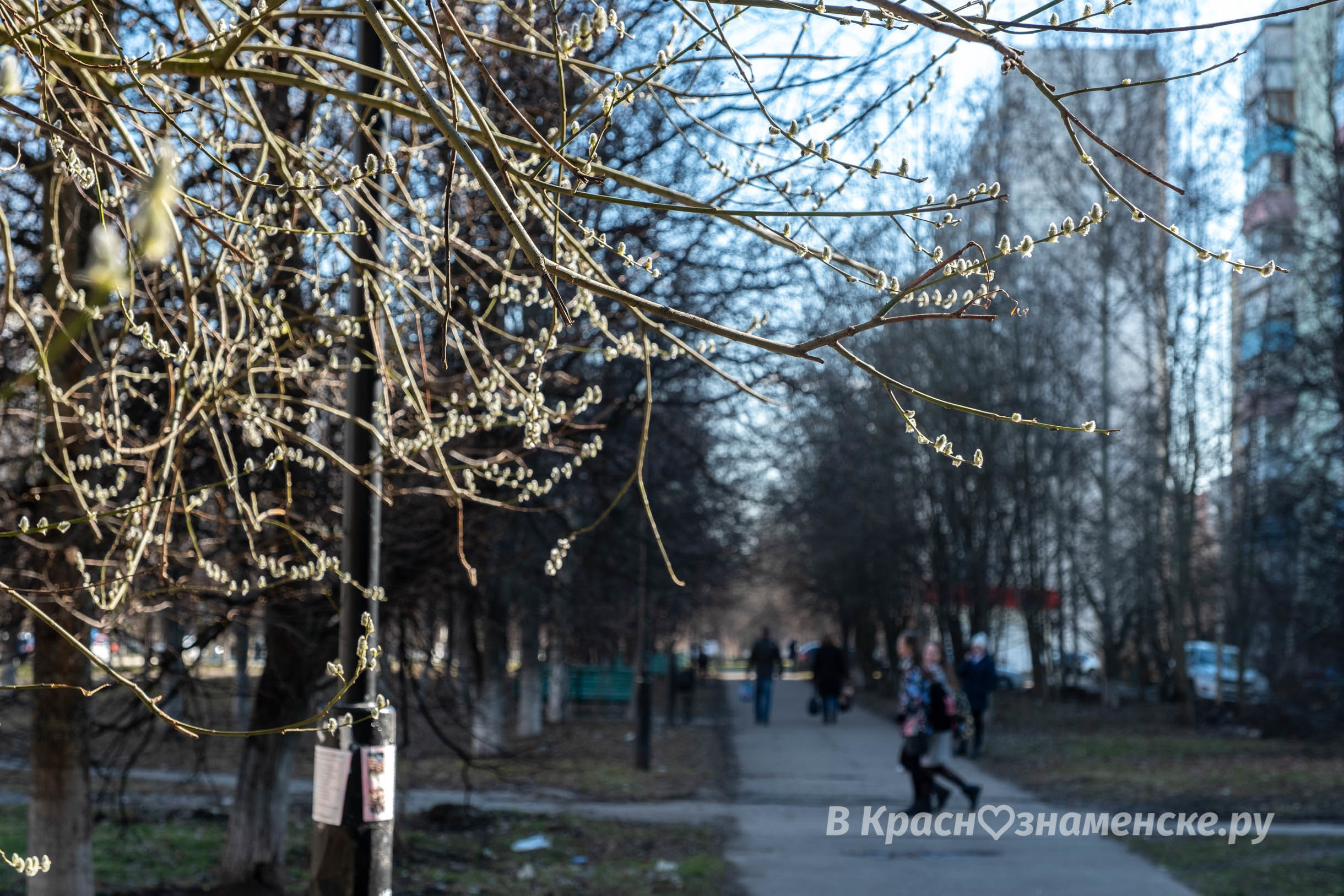 Доброе утро, Краснознаменск! Утром −2°…+9°, Ясно, Давление: