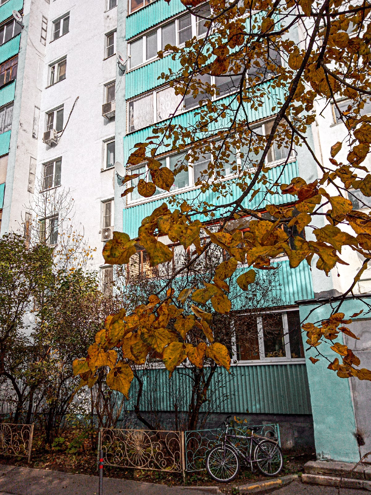 Комсомольский Бульвар 4. ???? Наталья Меняйлова — Краснознаменск