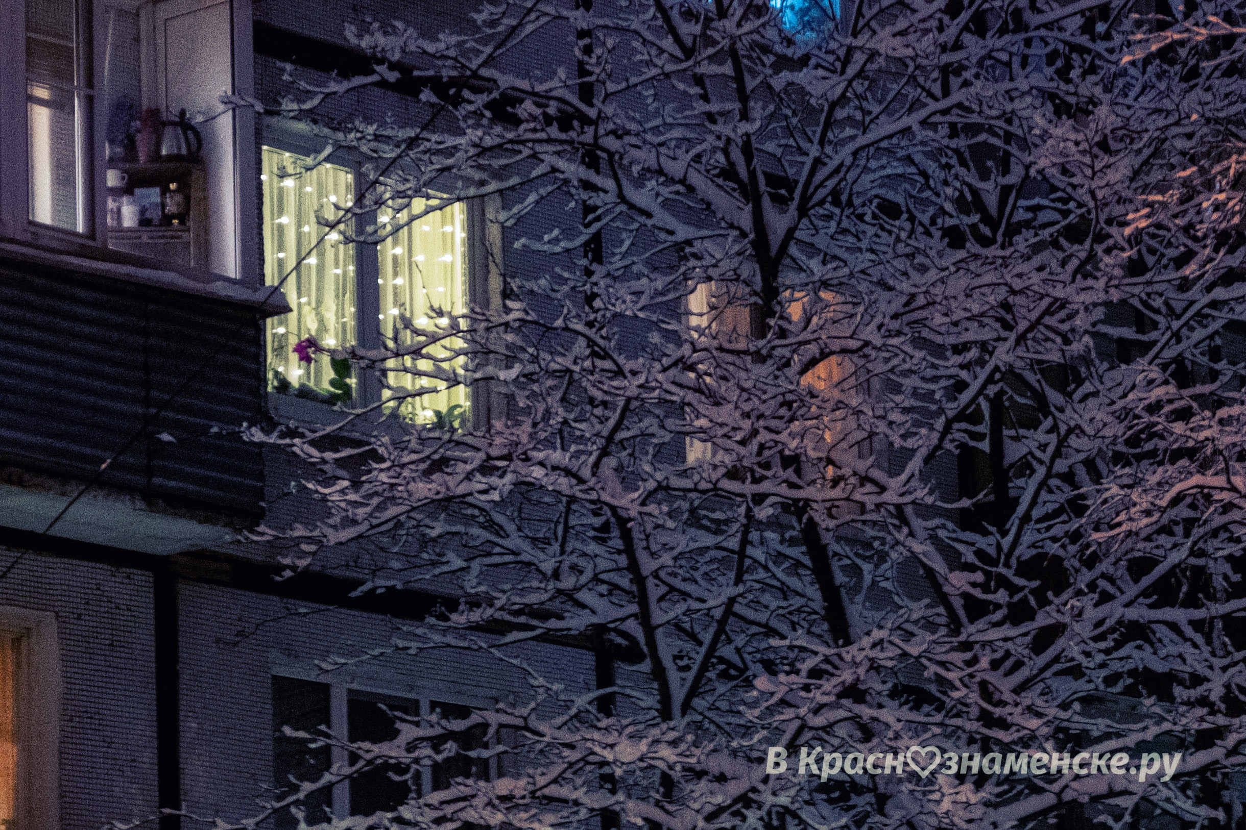 Фото 31690 — Краснознаменск