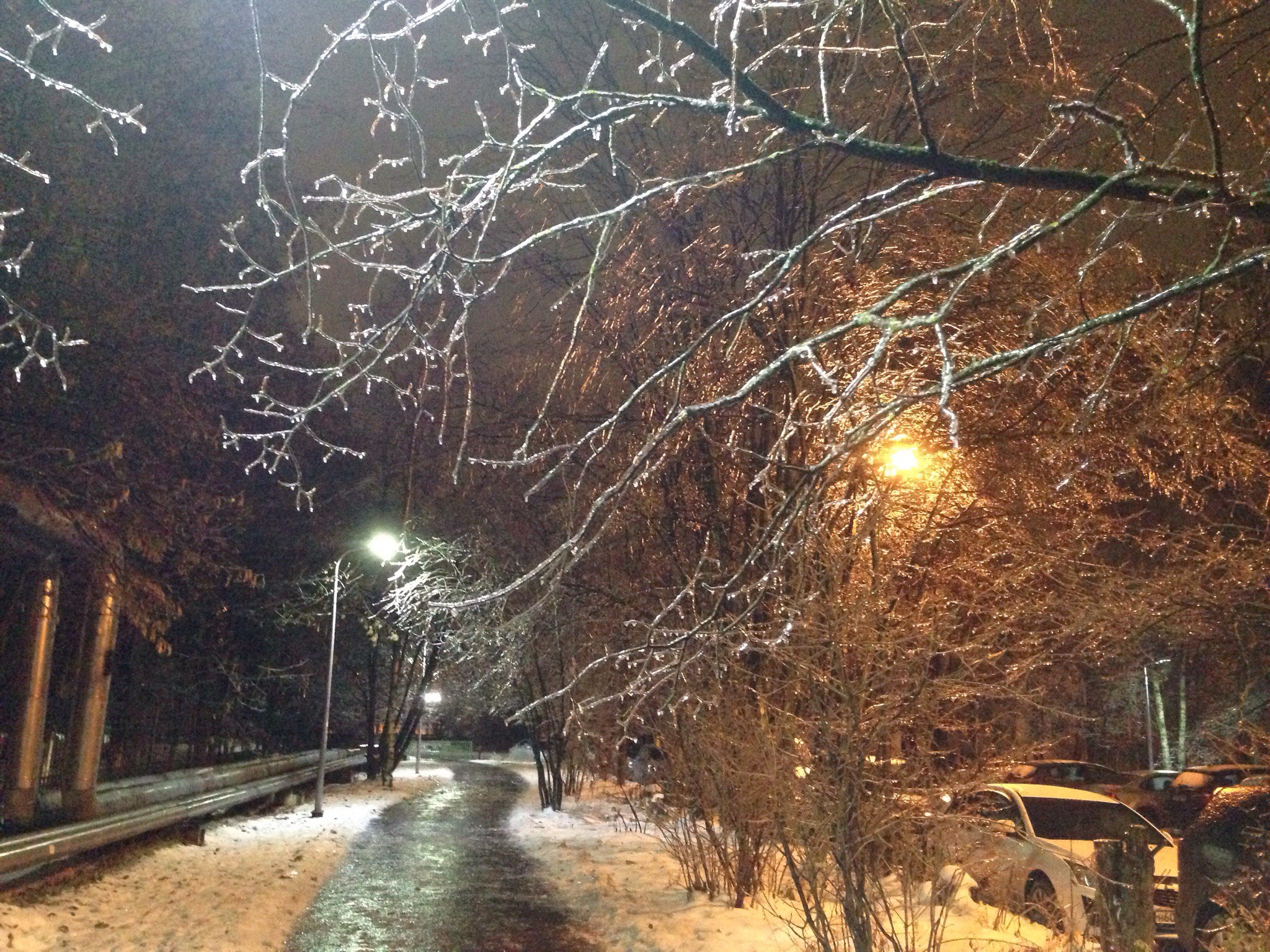 ❄️❄️❄️