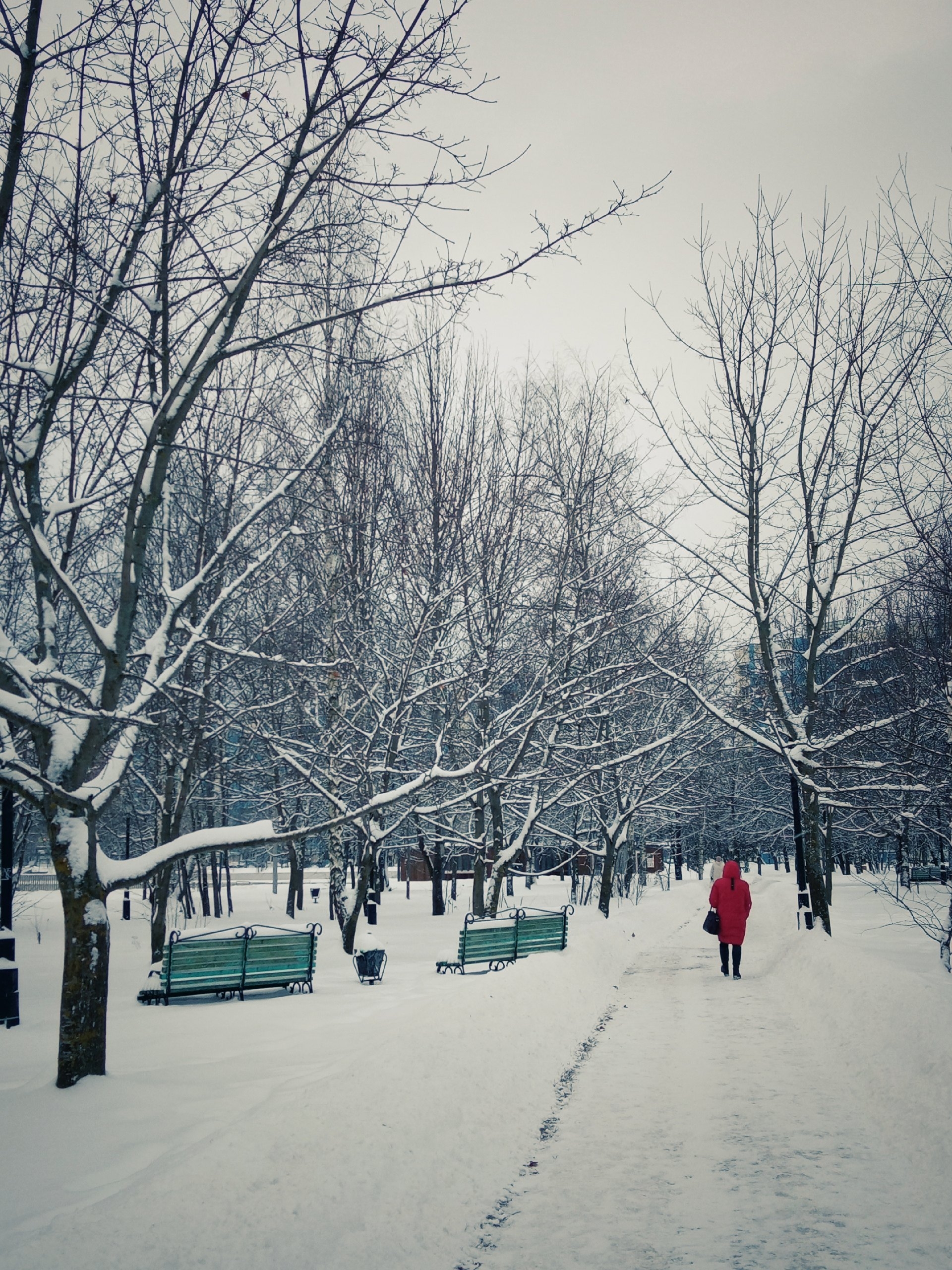 Прогулка по городу. — Краснознаменск