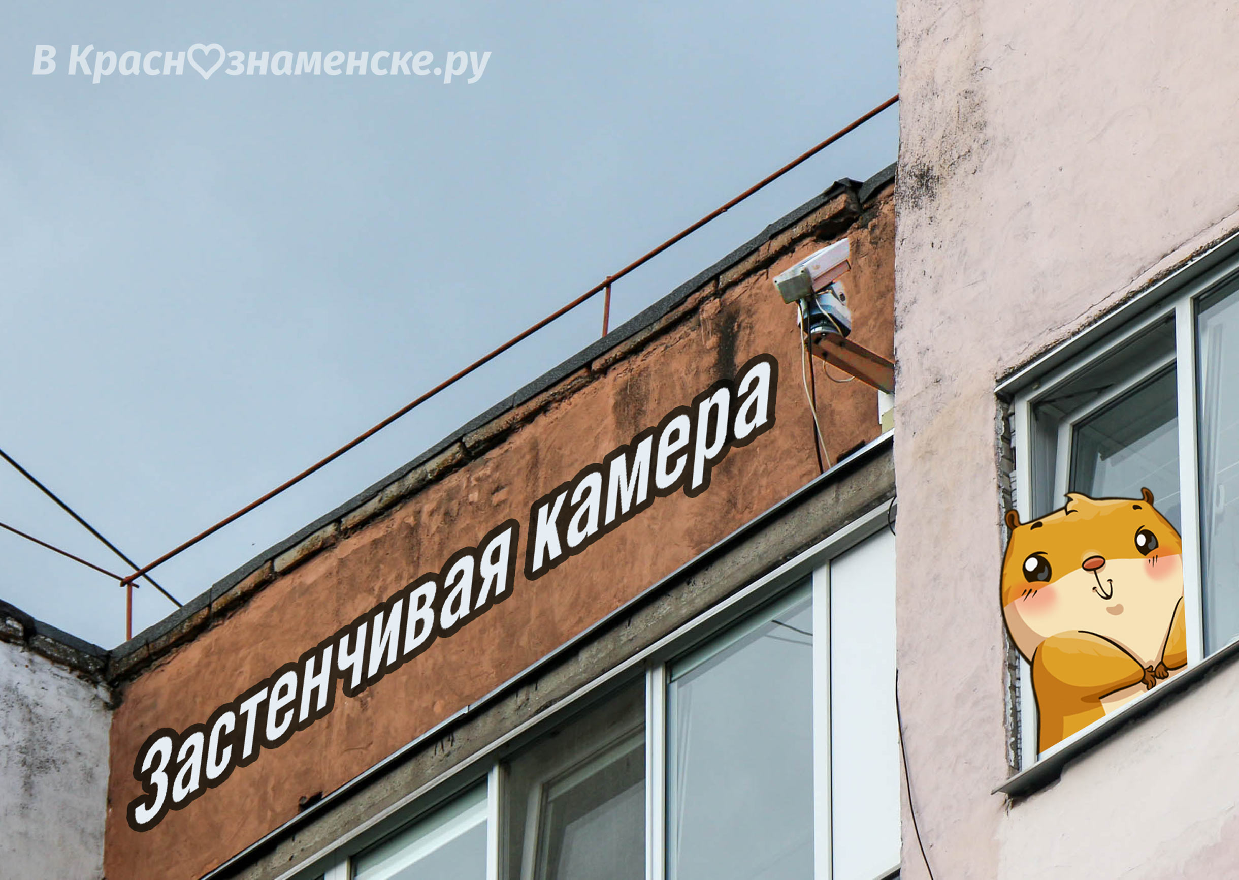 VK -27992616_348973