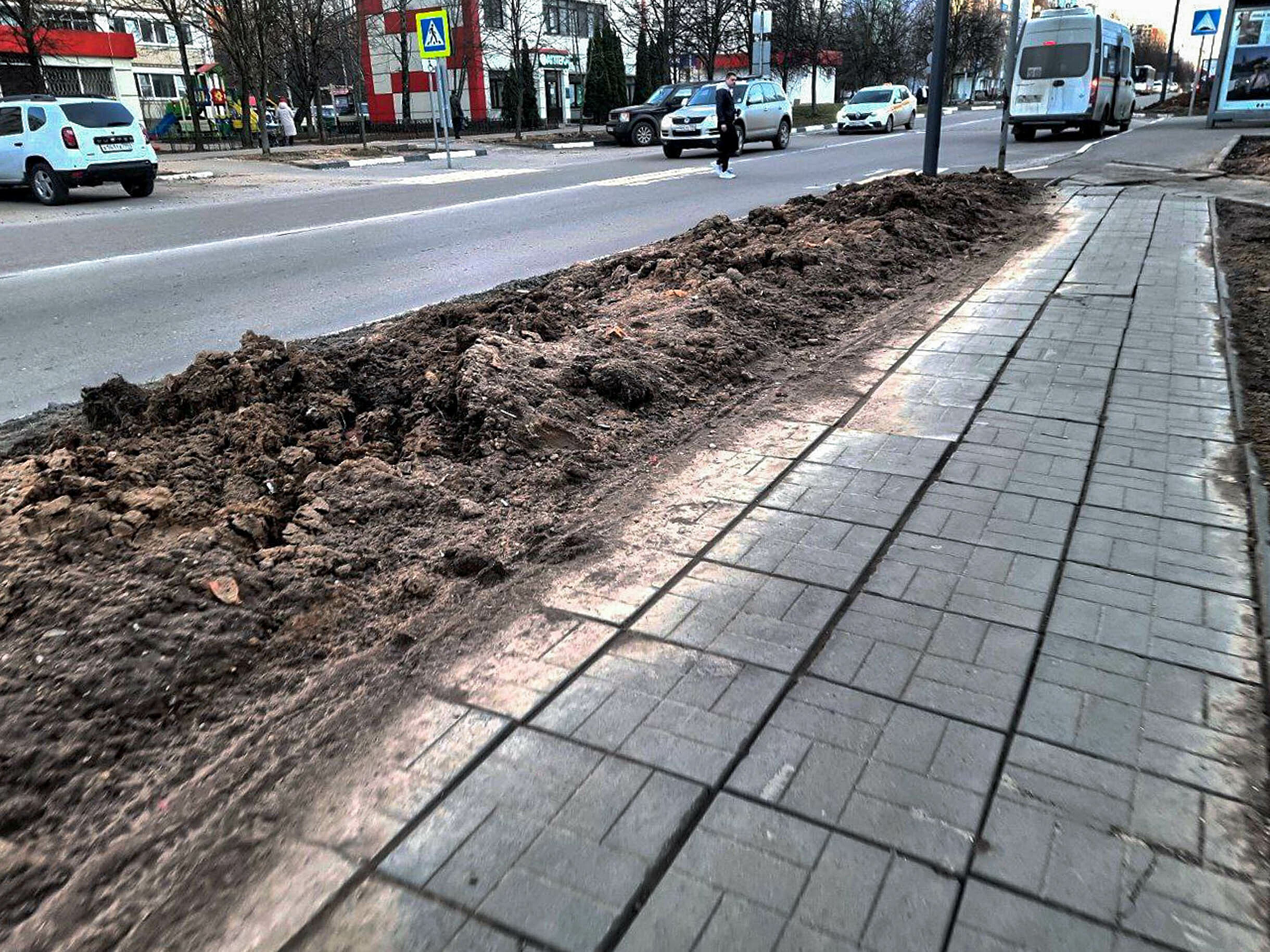 А что если Краснознаменск решили засадить картошкой, морковк