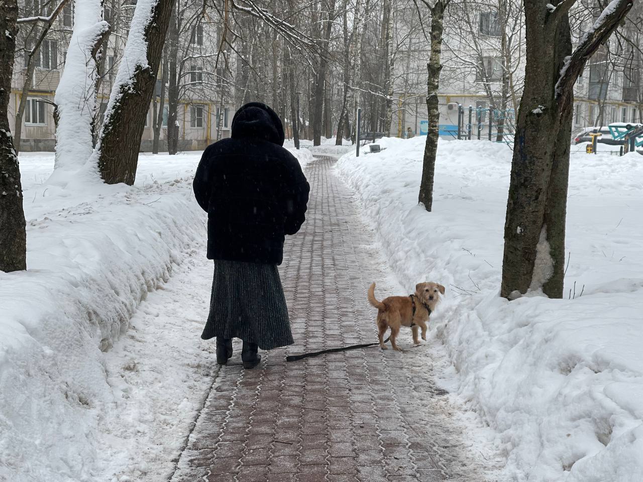 Прогулка по старому городку. — Краснознаменск