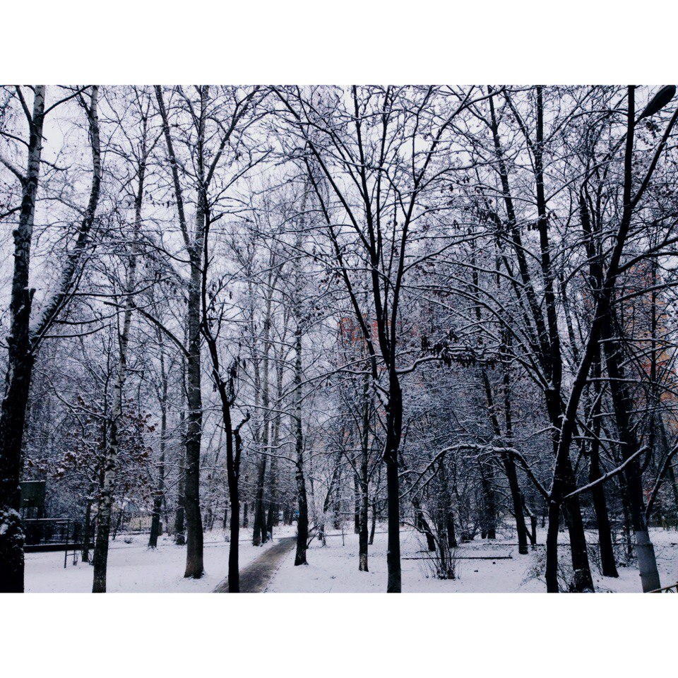 Узнаете свою улицу?)  ✨❄️❄️❄️????????
