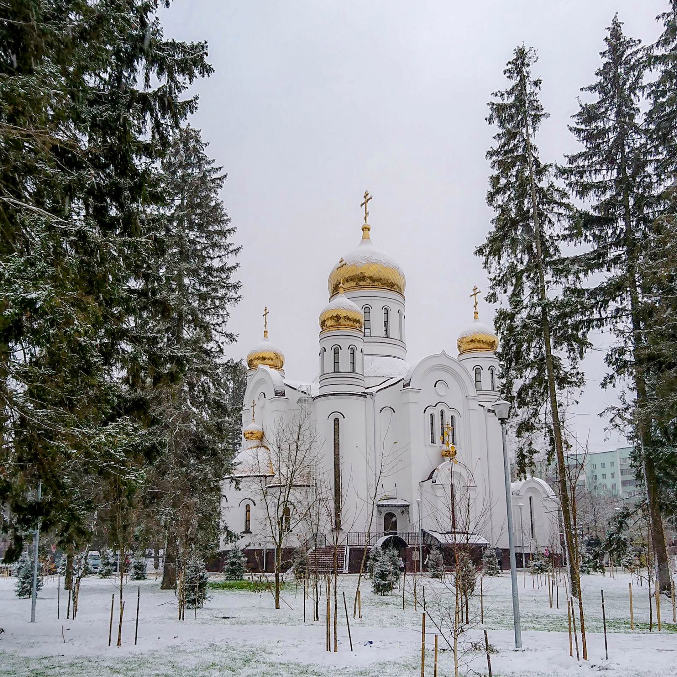 Фото 35464 — Краснознаменск