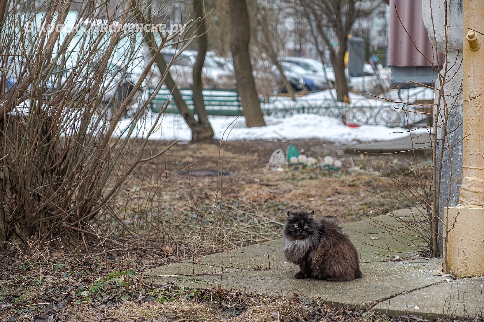 Фото 37031 — Краснознаменск