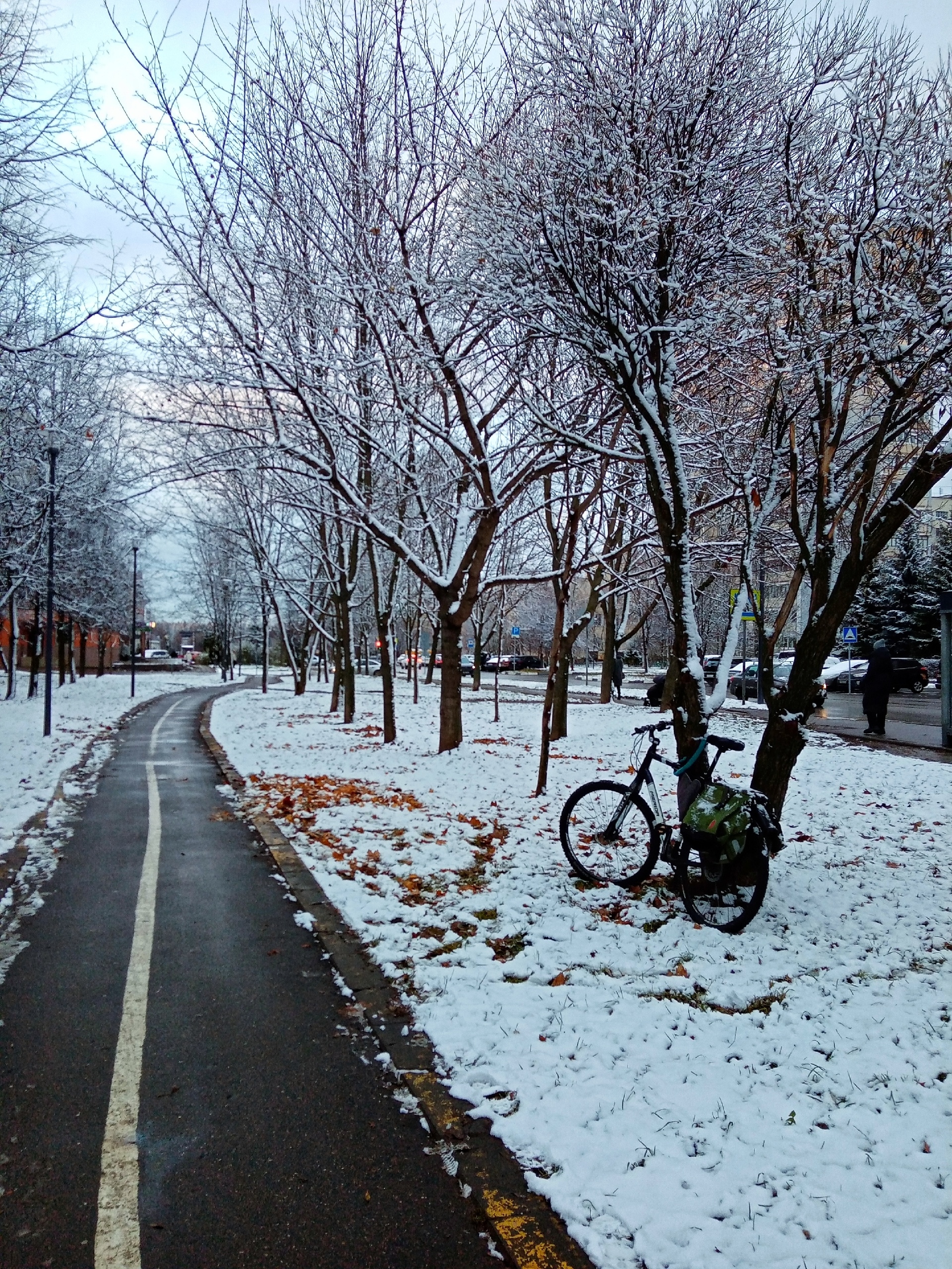 Прогулка по городу. — Краснознаменск