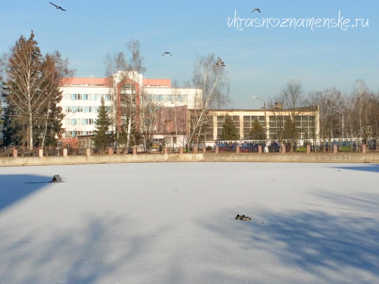 Фото 50017 — Краснознаменск
