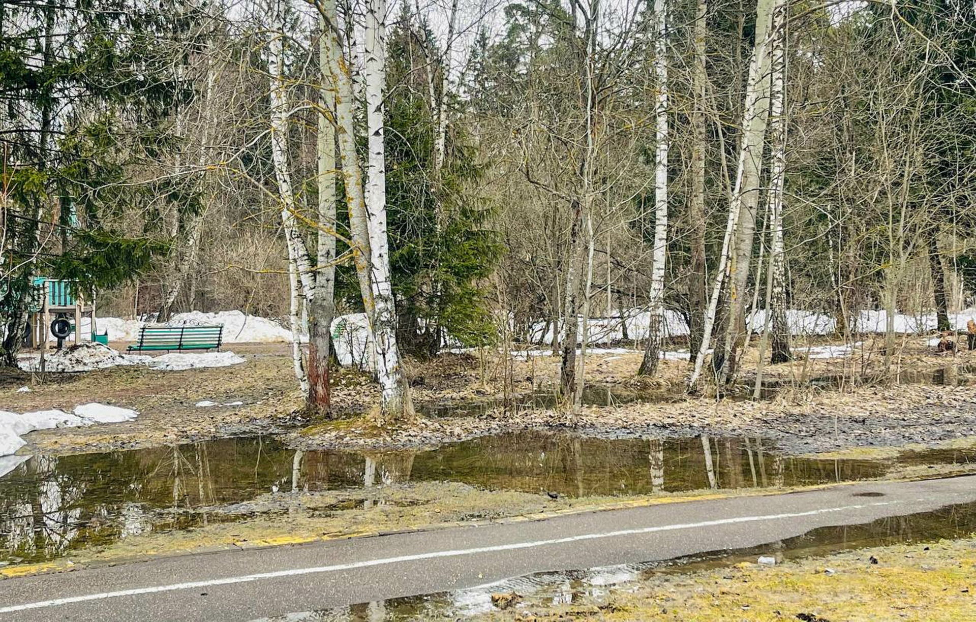 Прогулка по городу — Краснознаменск