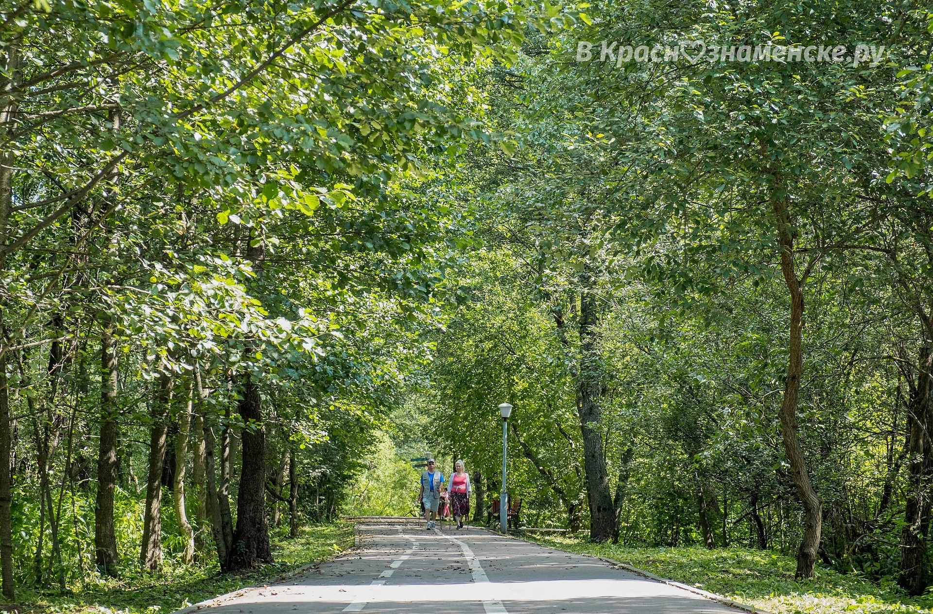 Доброе утро, Краснознаменск! Бодрого вам начала недели)