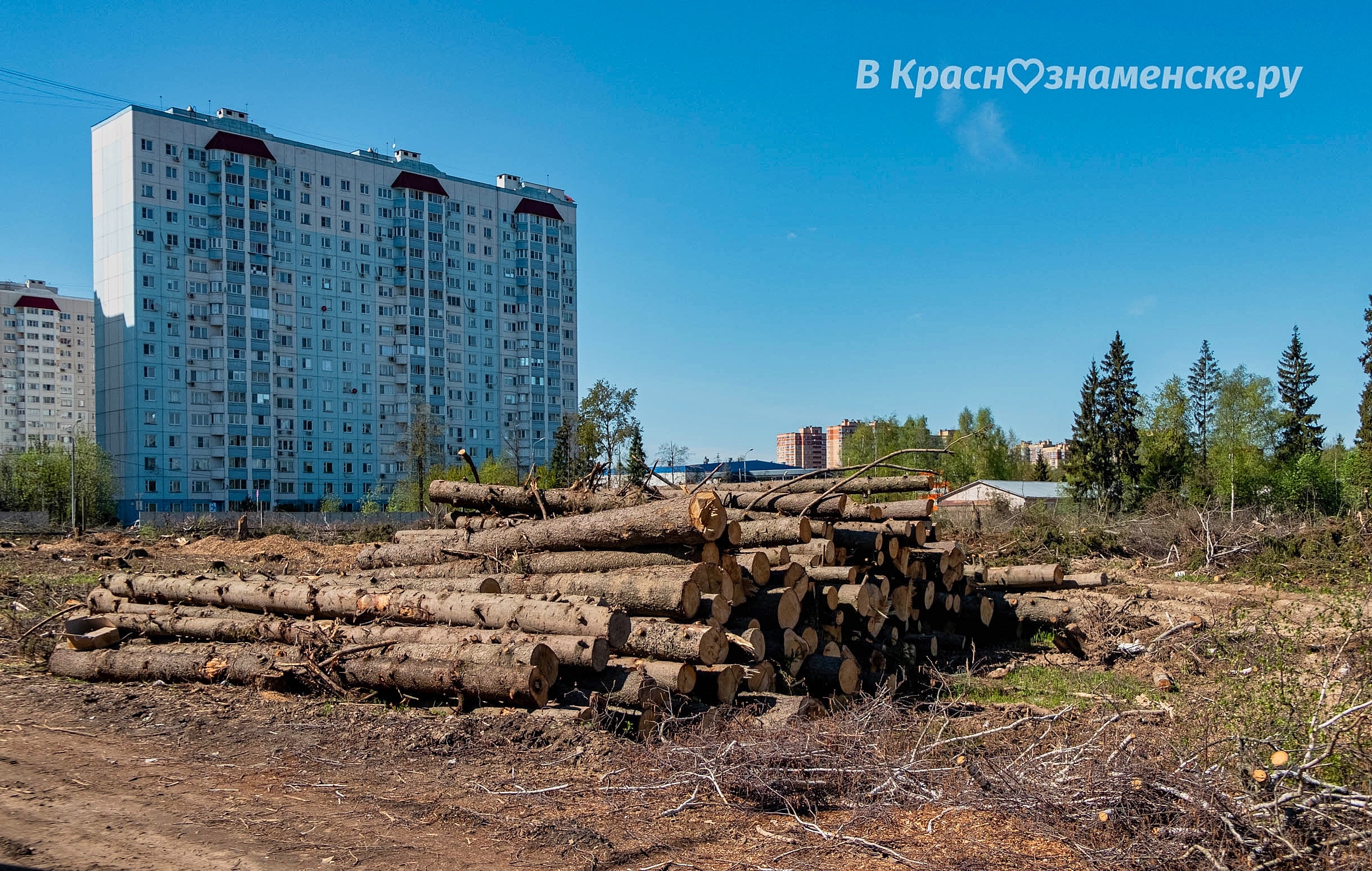 Фото 37972 — Краснознаменск