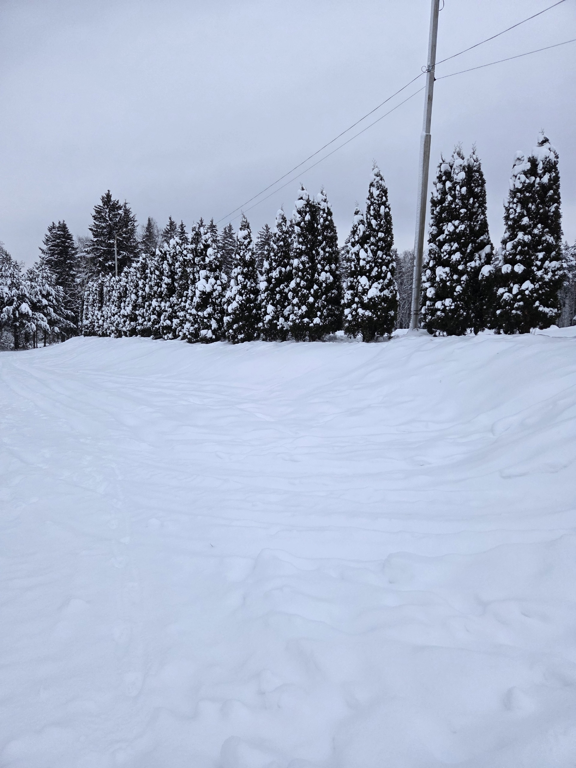 Зимняя сказка❄????  (с) Анастасия   © в Краснознаменске.ру  Мы