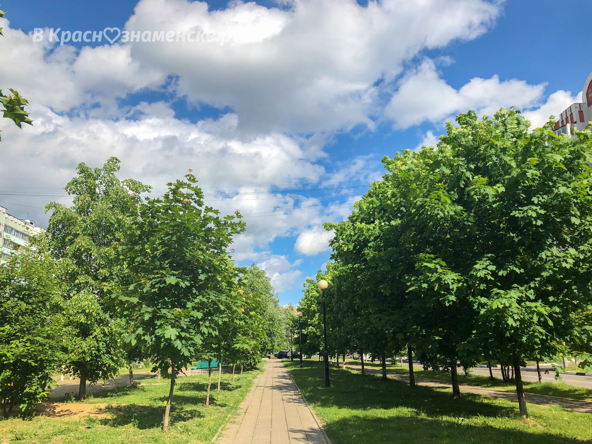 Доброе утро, Краснознаменск! Утром +18°…+26°, Малооблачно, Д