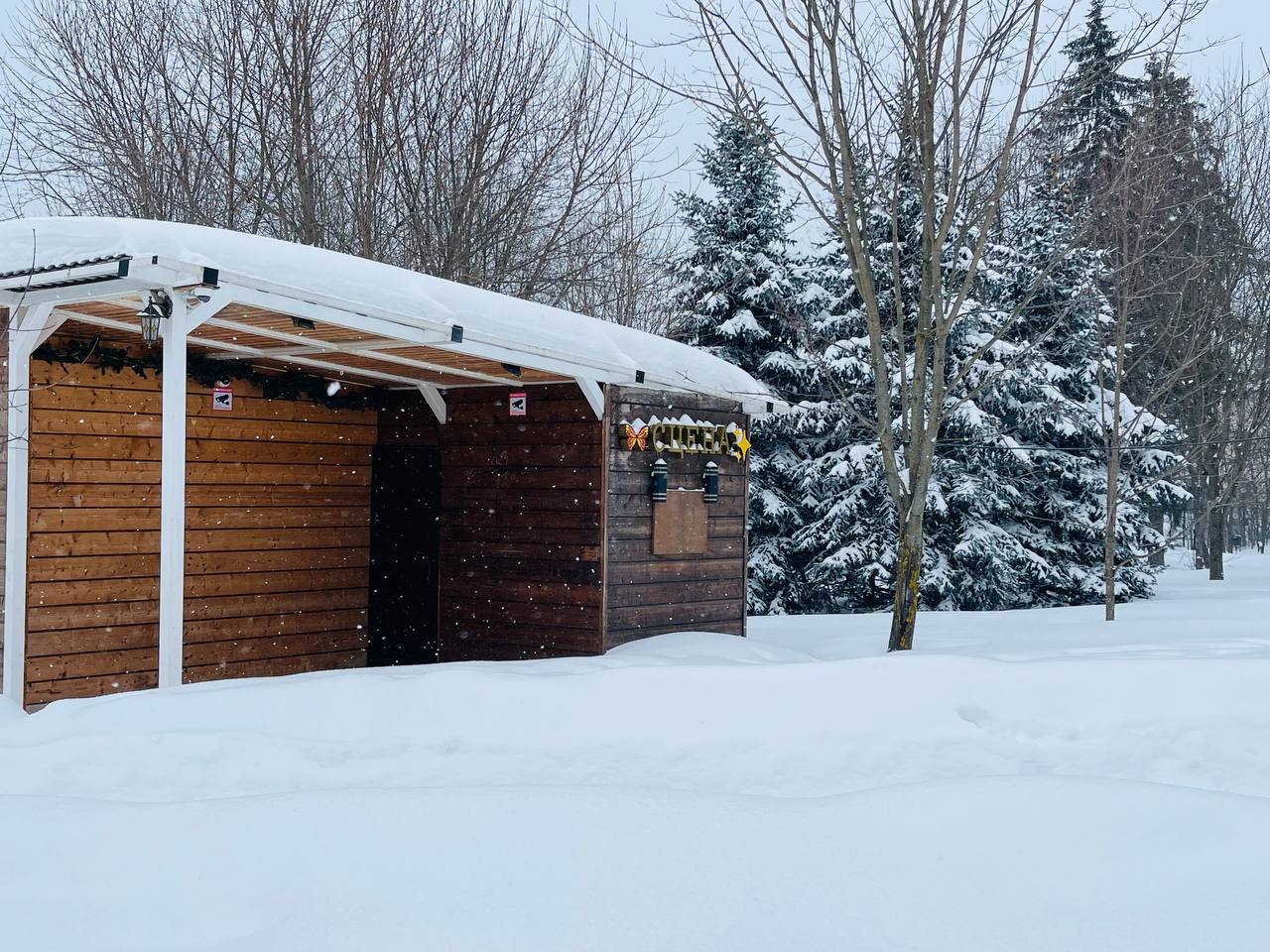 Прогулка по городу. — Краснознаменск