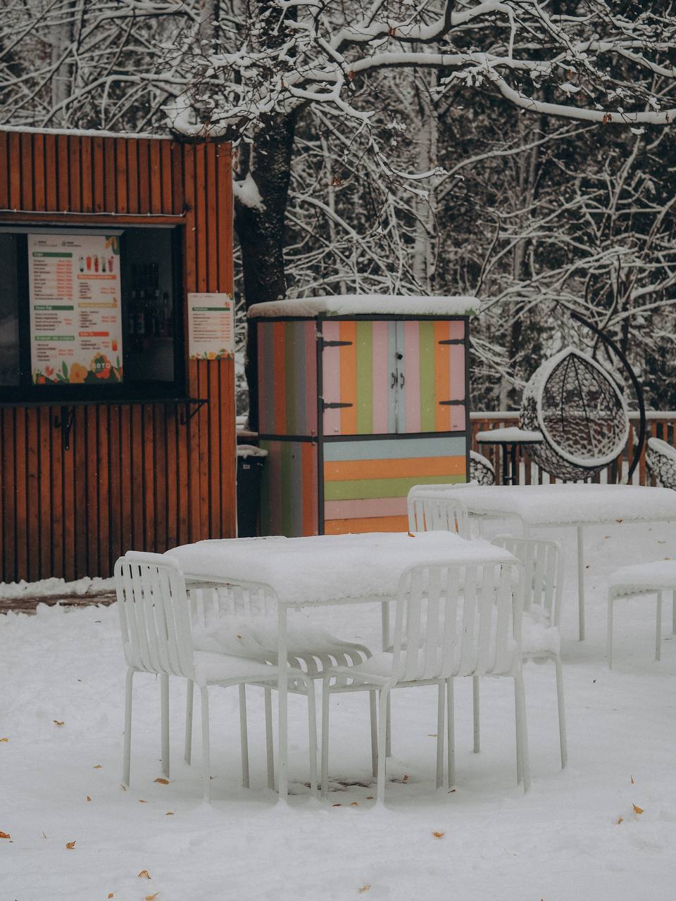 Заснеженный парк ❄️ ???? Полина — Краснознаменск
