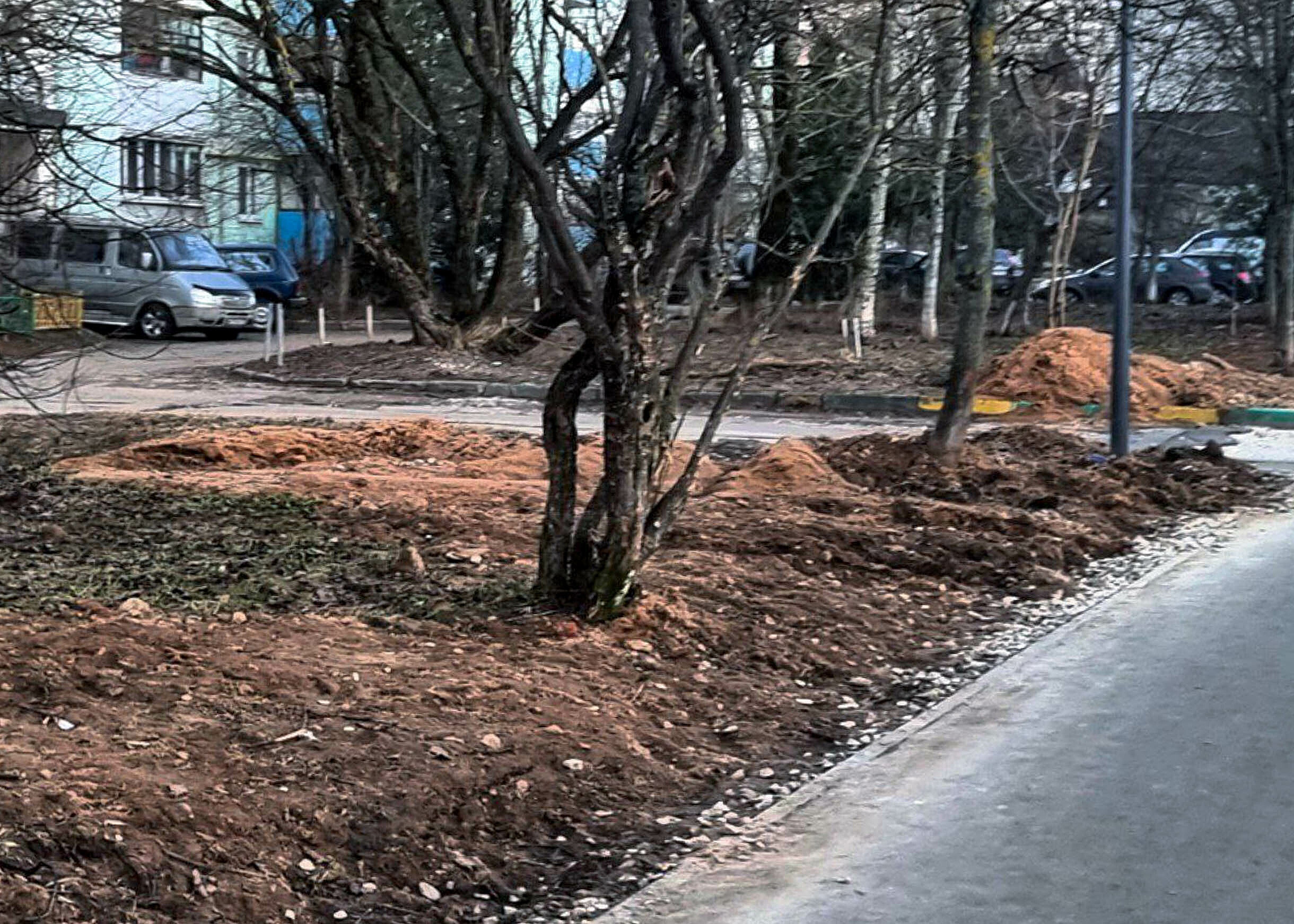А что если Краснознаменск решили засадить картошкой, морковк