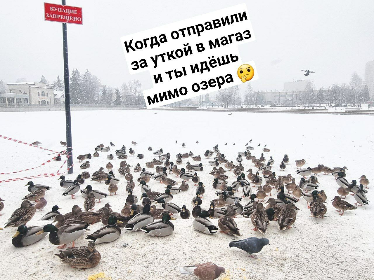 VK -27992616_747722