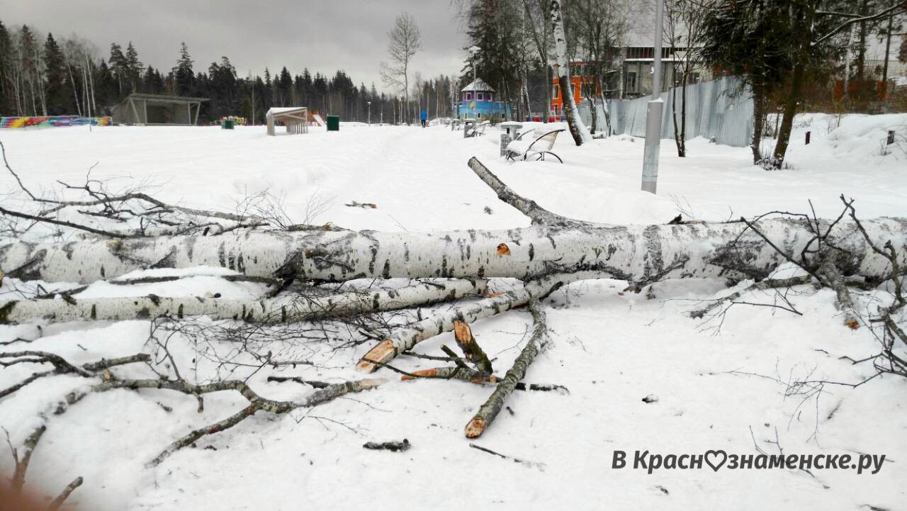 [club27992616|Коротко об экологии]: — Краснознаменск