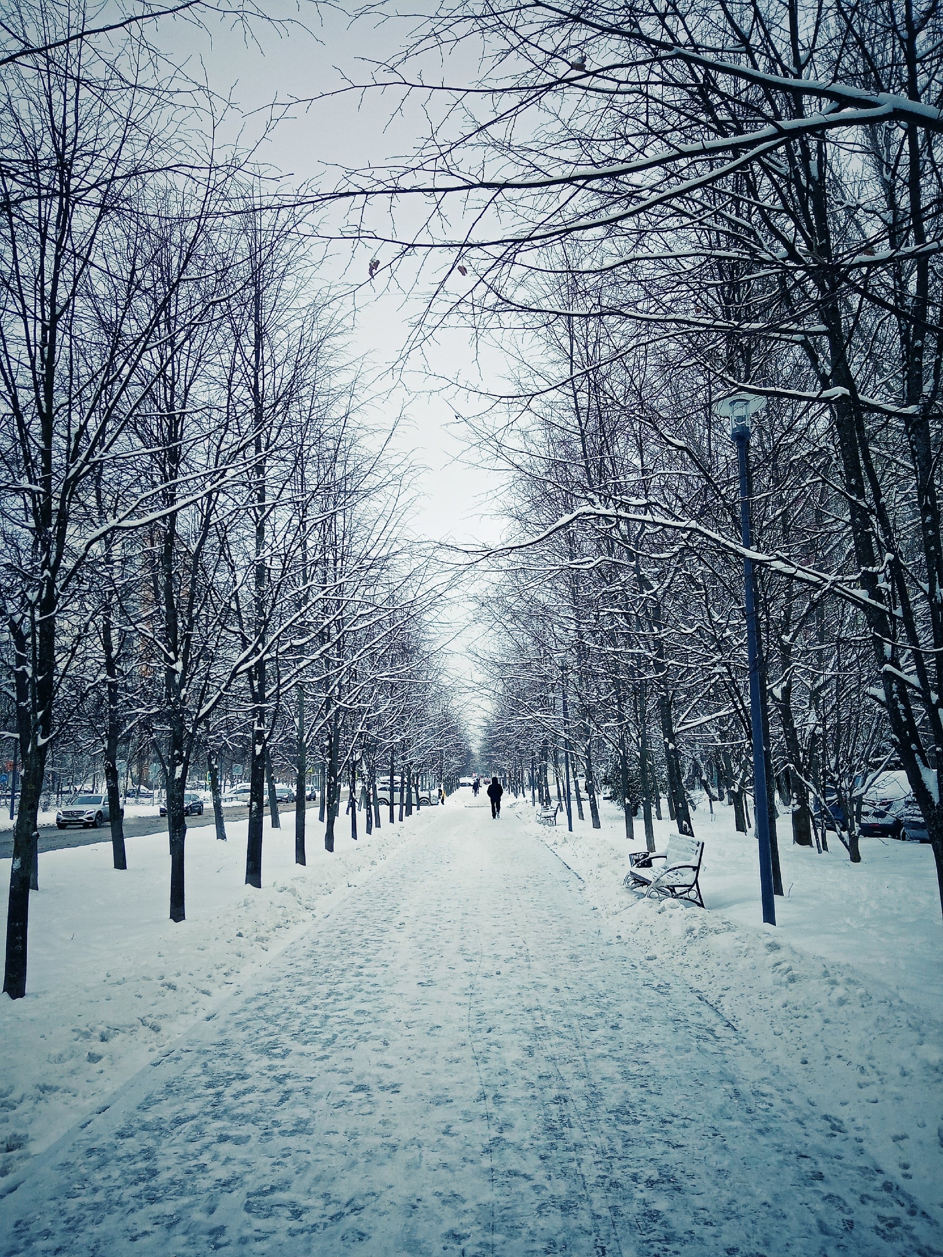 Прогулка по городу. — Краснознаменск