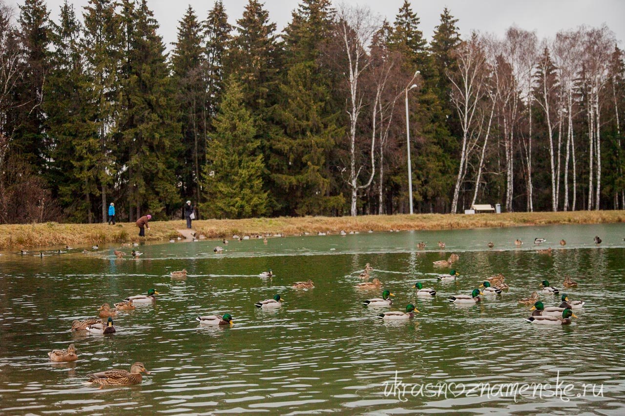 VK -27992616_46261 — Краснознаменск