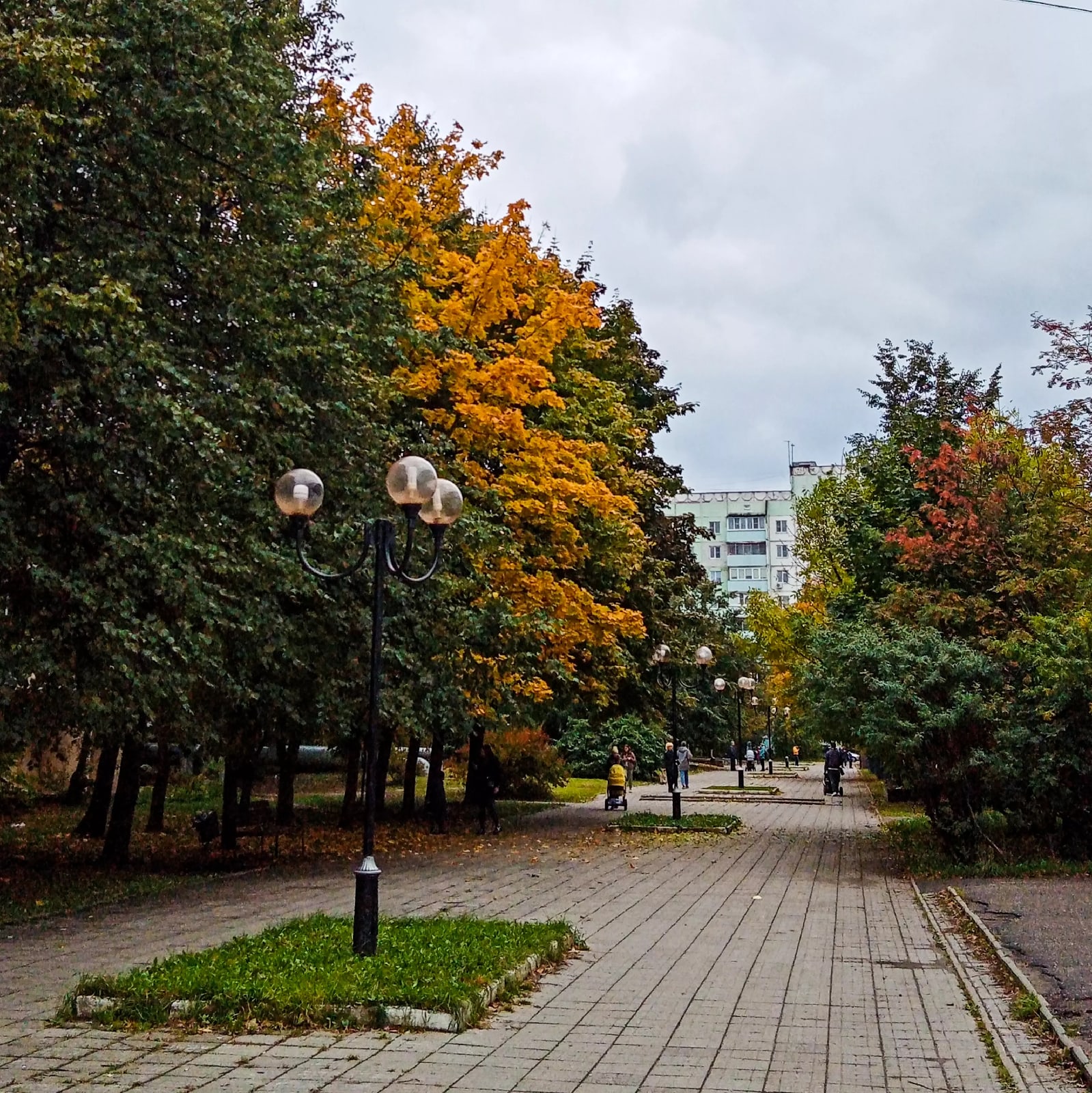 Доброе утро, Краснознаменск. ???? Наталья Меняйлова