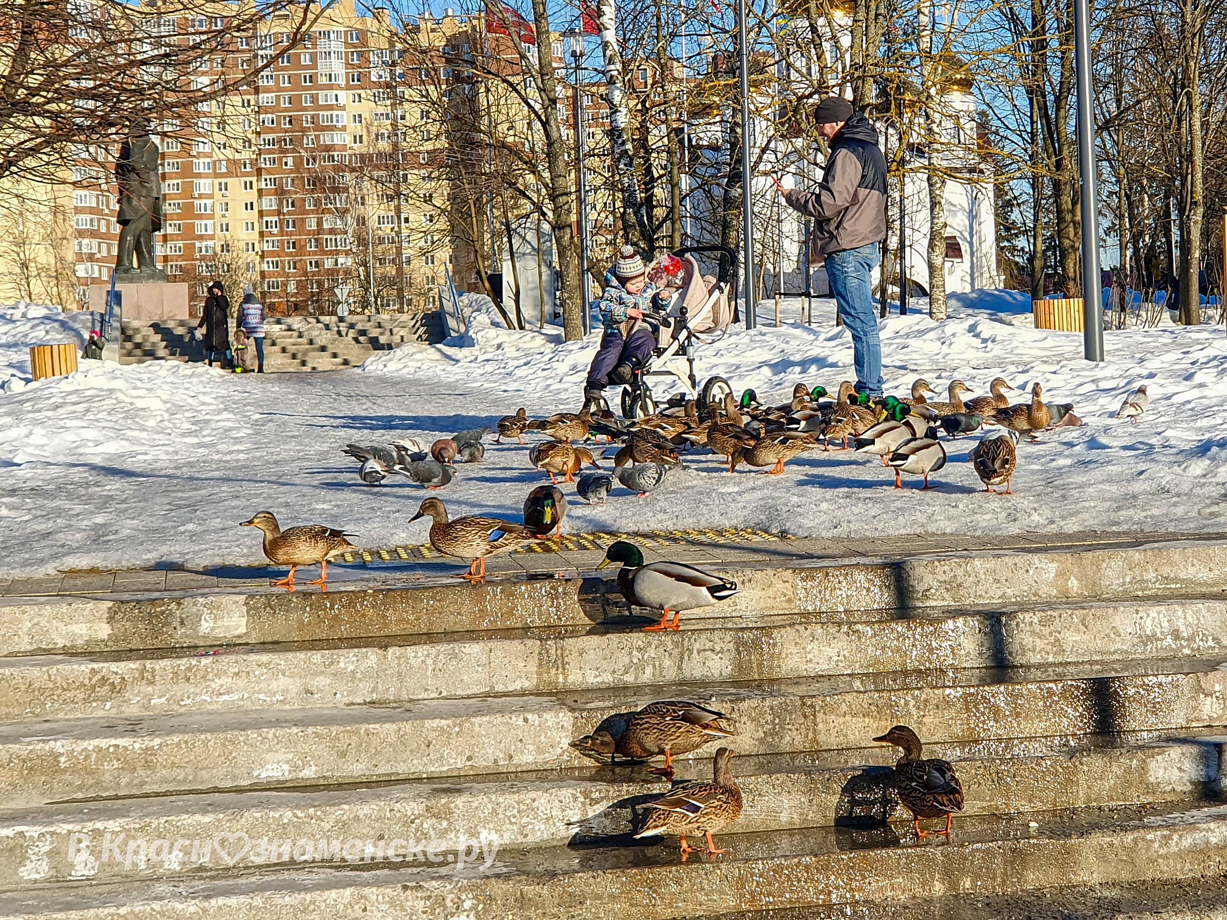 Фото 37193 — Краснознаменск