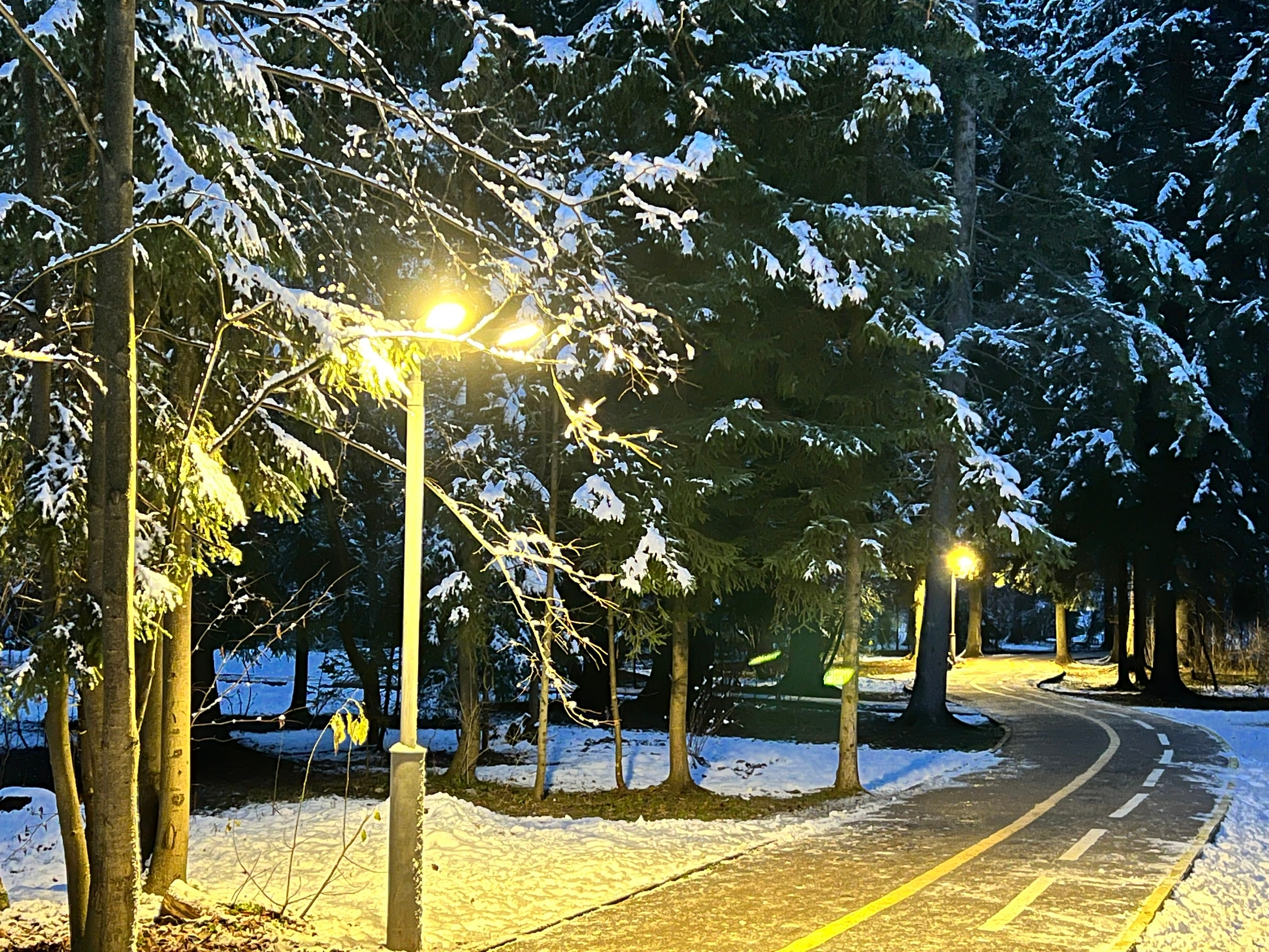 Вечер в Городском парке — Краснознаменск