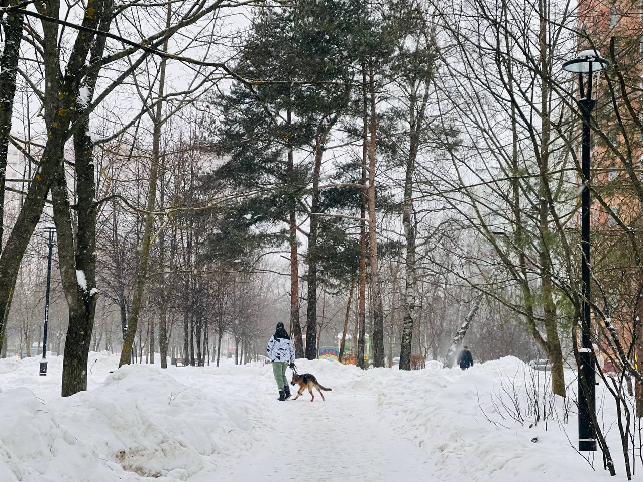 Прогулка по городу. — Краснознаменск