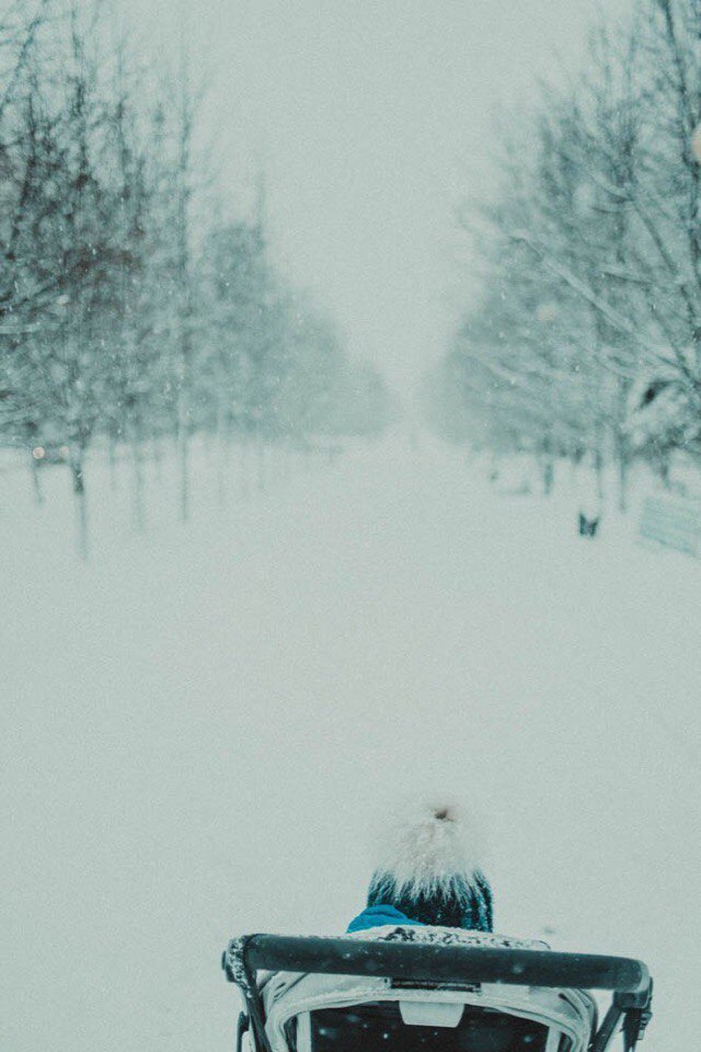 Фото: Настя Игнаткина — Краснознаменск