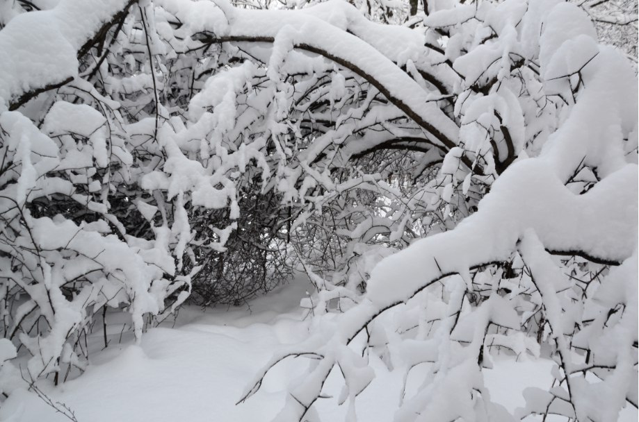 ❄ — Краснознаменск