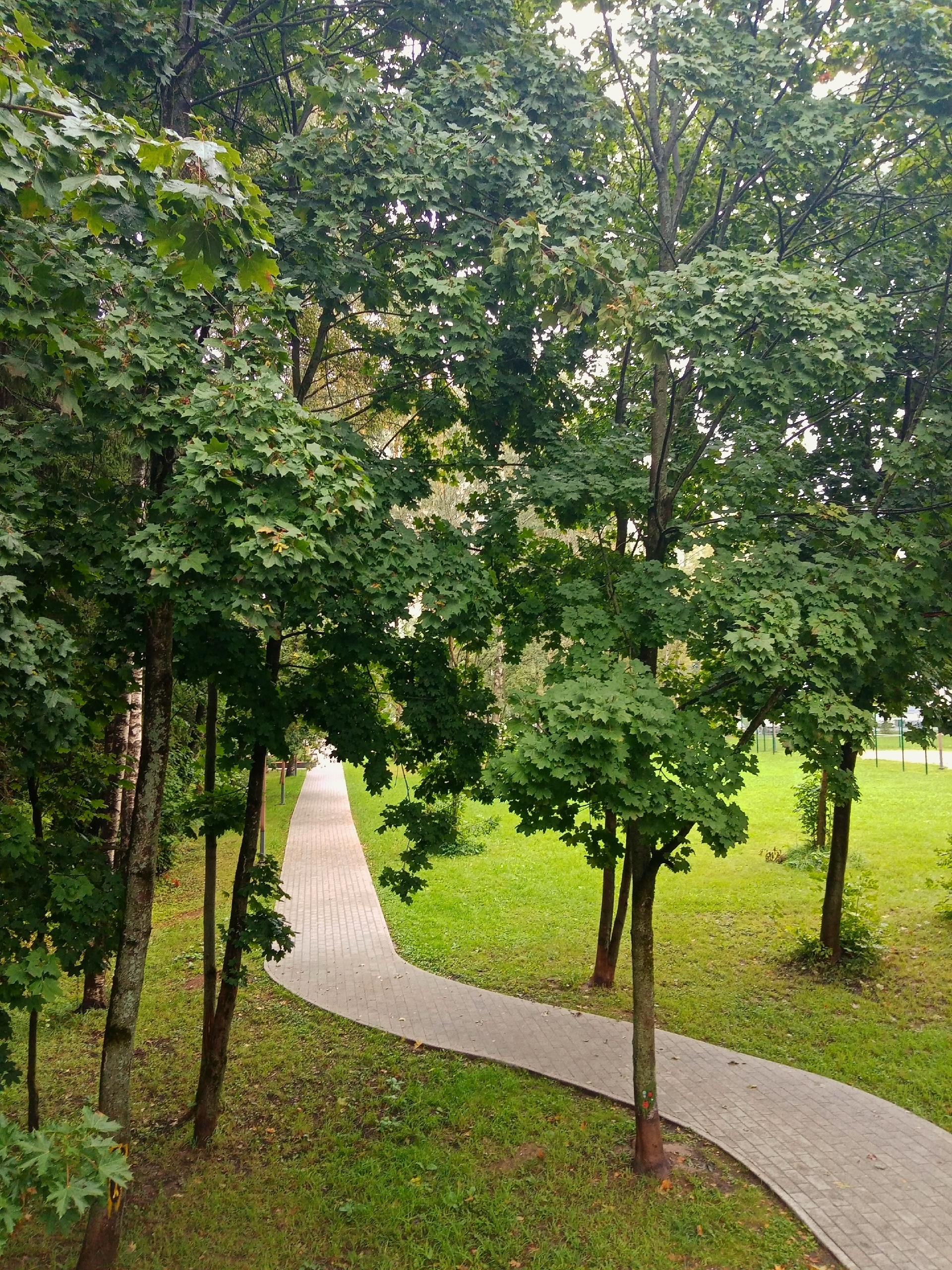 Парк "Беличий"