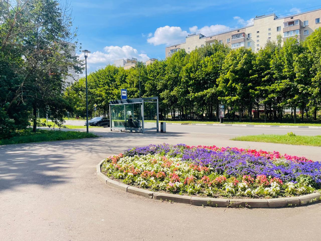 Прогулка по городу. — Краснознаменск