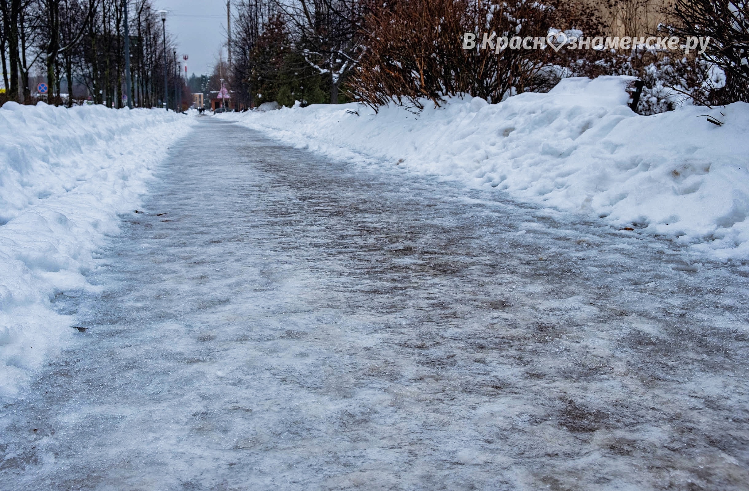 Довольны ли вы тем, как на сегодняшний день в городе борются