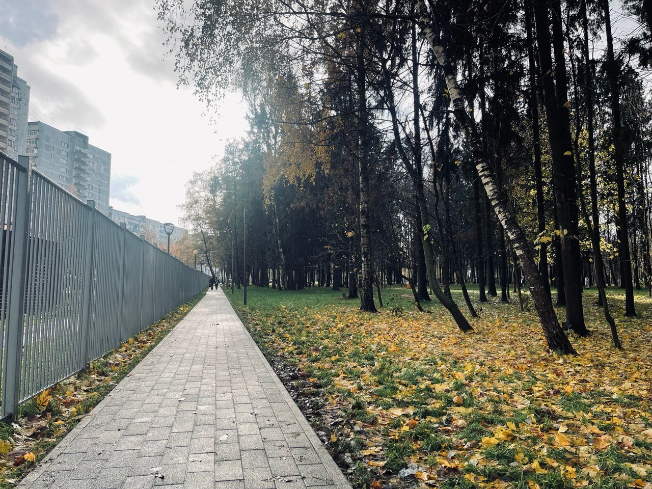 Прогулка по городу — Краснознаменск