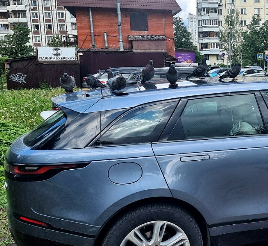 Придумайте название