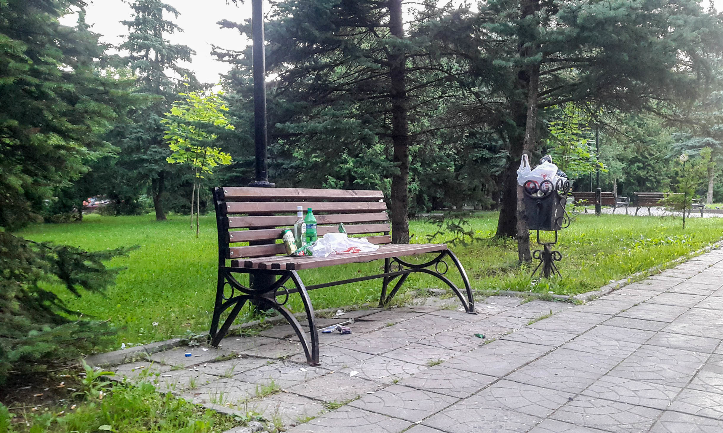 «Тусовка» на природе, всё для людей — Краснознаменск