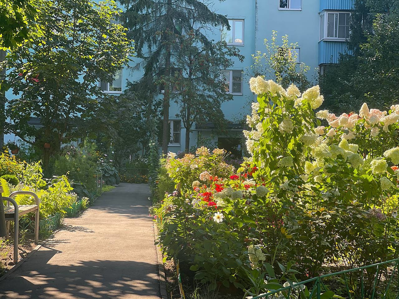 Прогулка по городу — Краснознаменск
