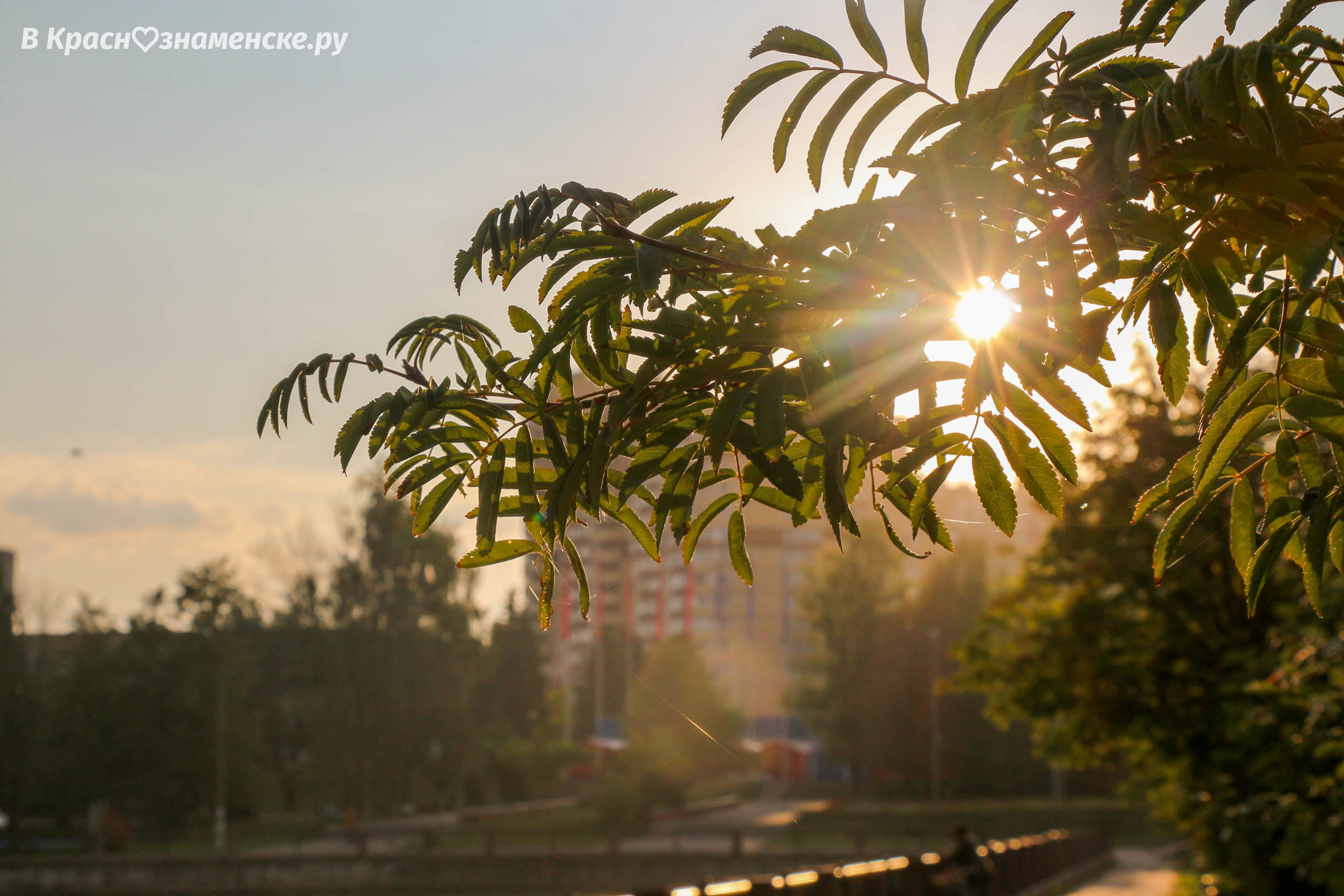 Доброе утро, Краснознаменск! ???? Утром +16°…+20°, Пасмурно, Да