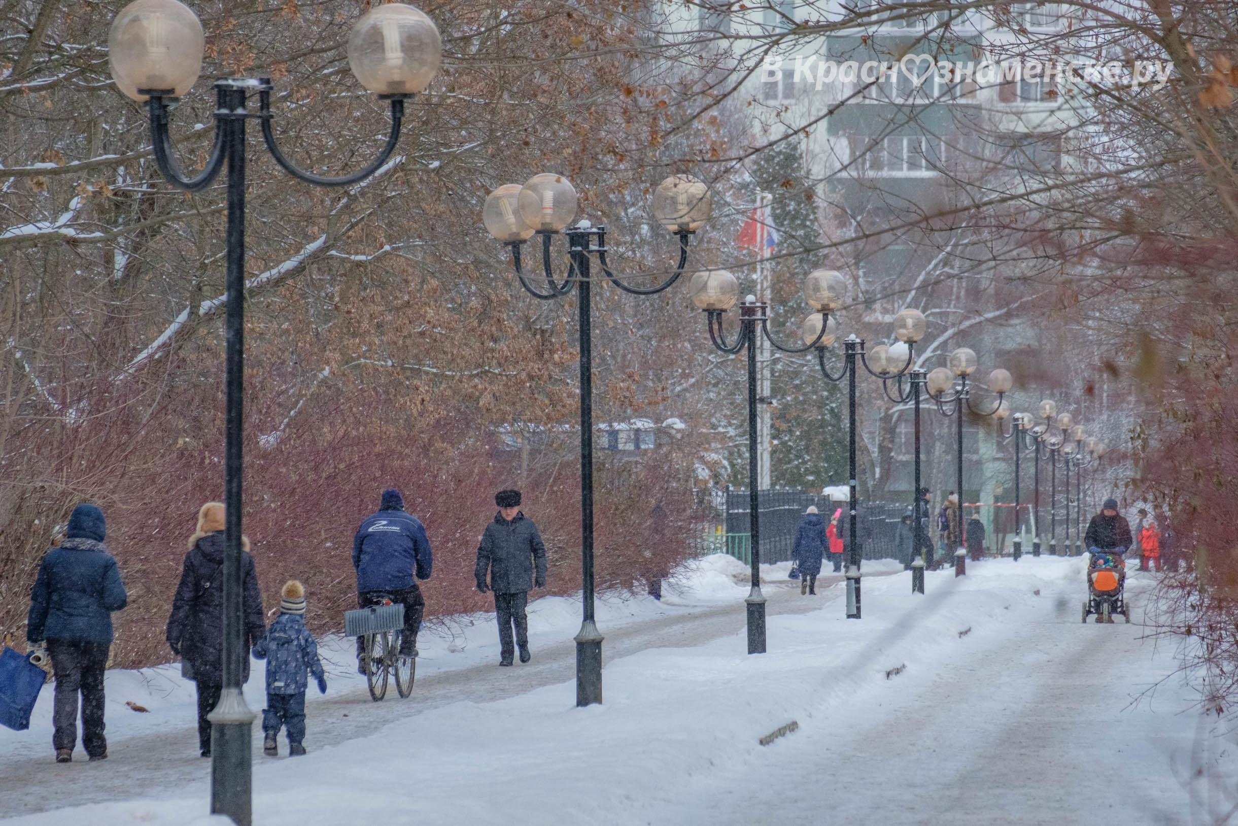 Доброе утро, Краснознаменск!❄ Утром, -5°, Небольшой снег, Да