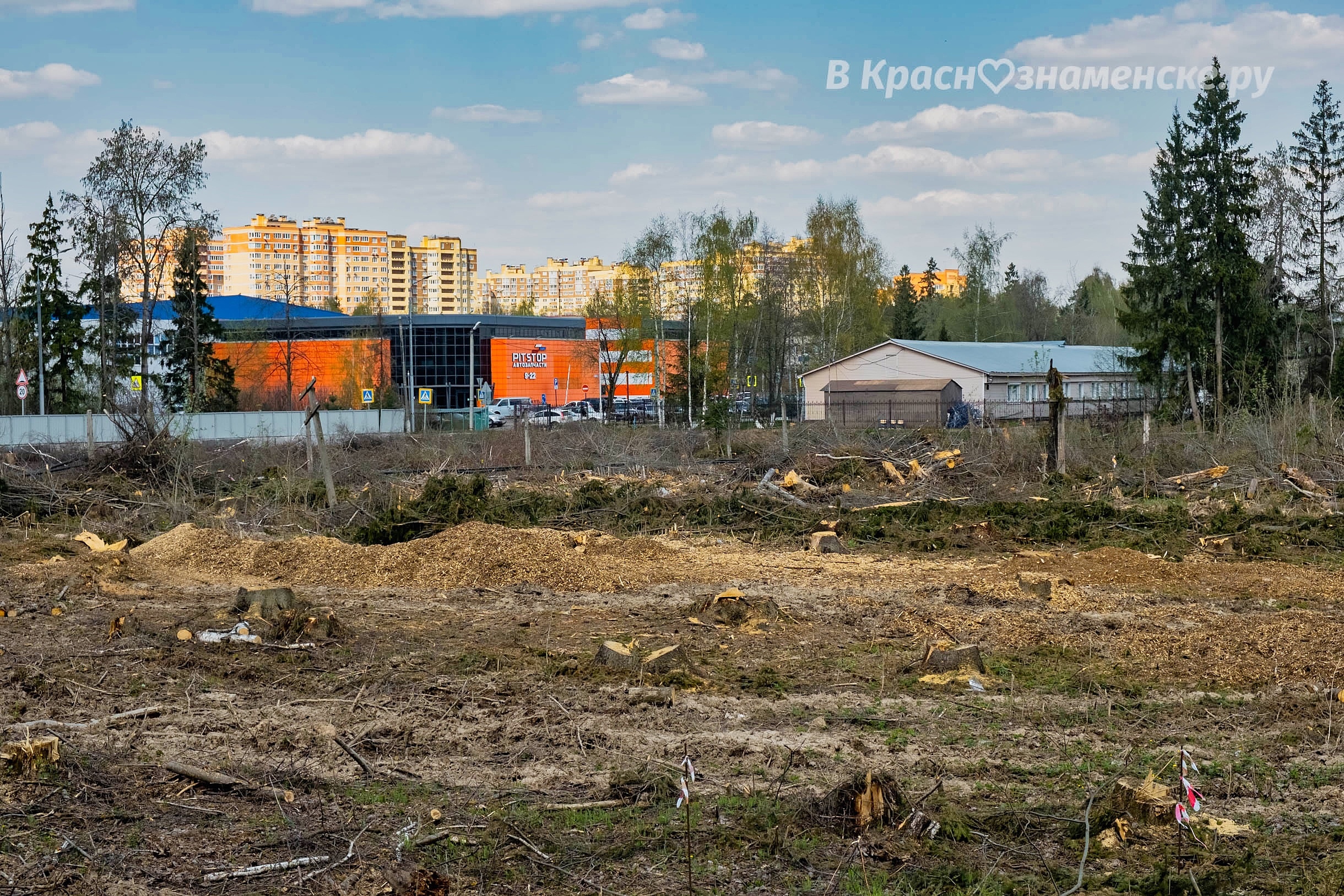 Фото 37850 — Краснознаменск