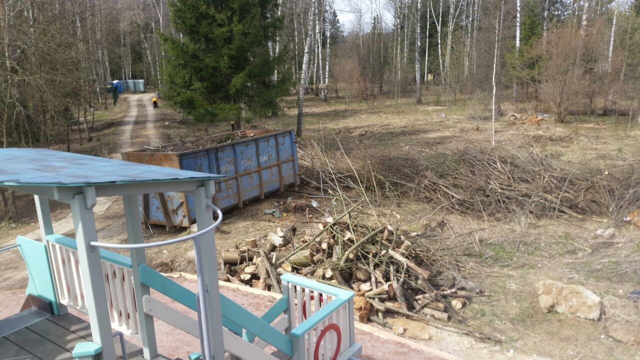 Тем временем в парке — Краснознаменск